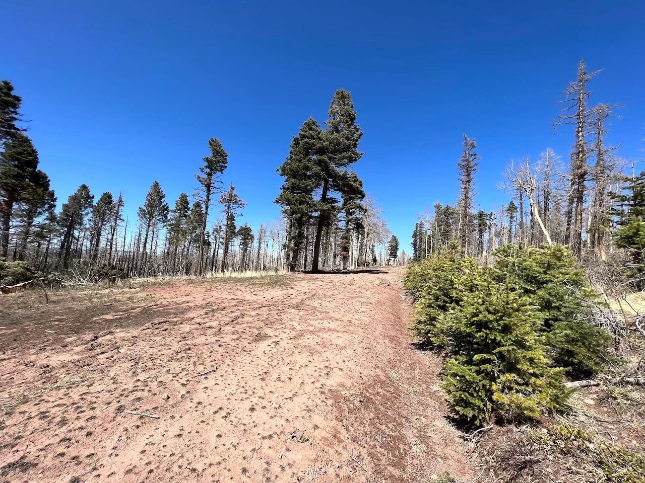 1.26 acres in Fort Garland, CO, 81133 LandWatch
