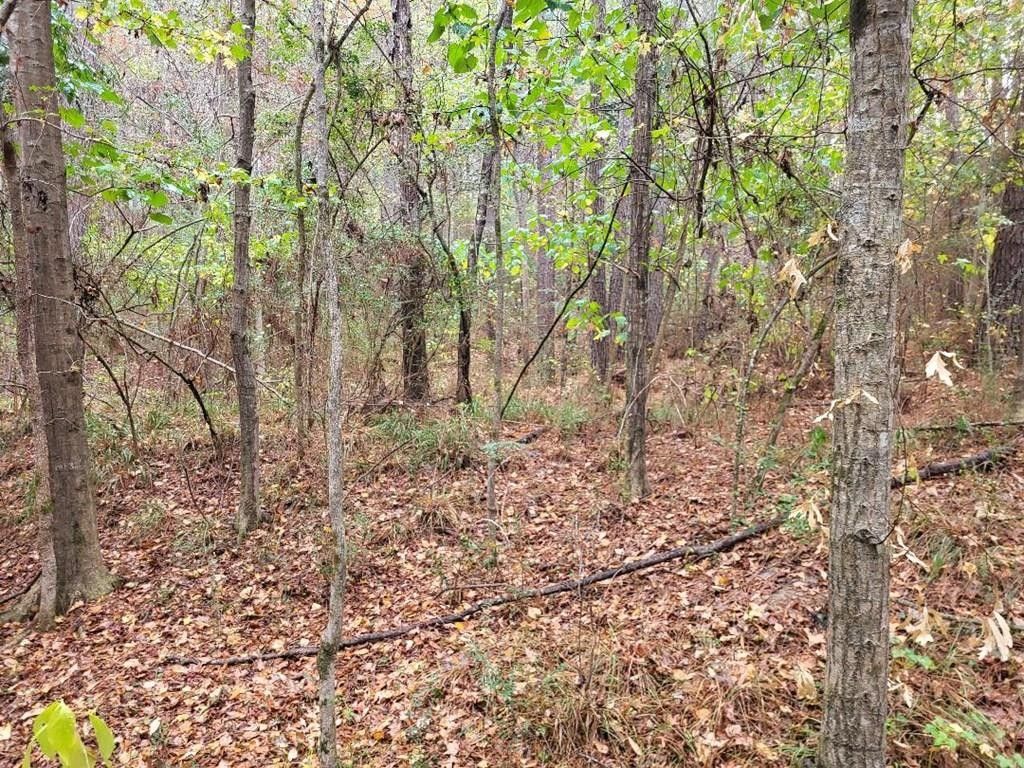 Magnolia, Pike County, MS Undeveloped Land for sale Property ID