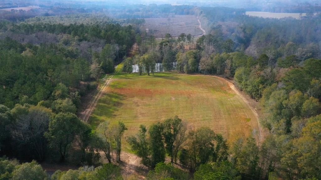 Headland, Henry County, AL Lakefront Property, Waterfront Property for