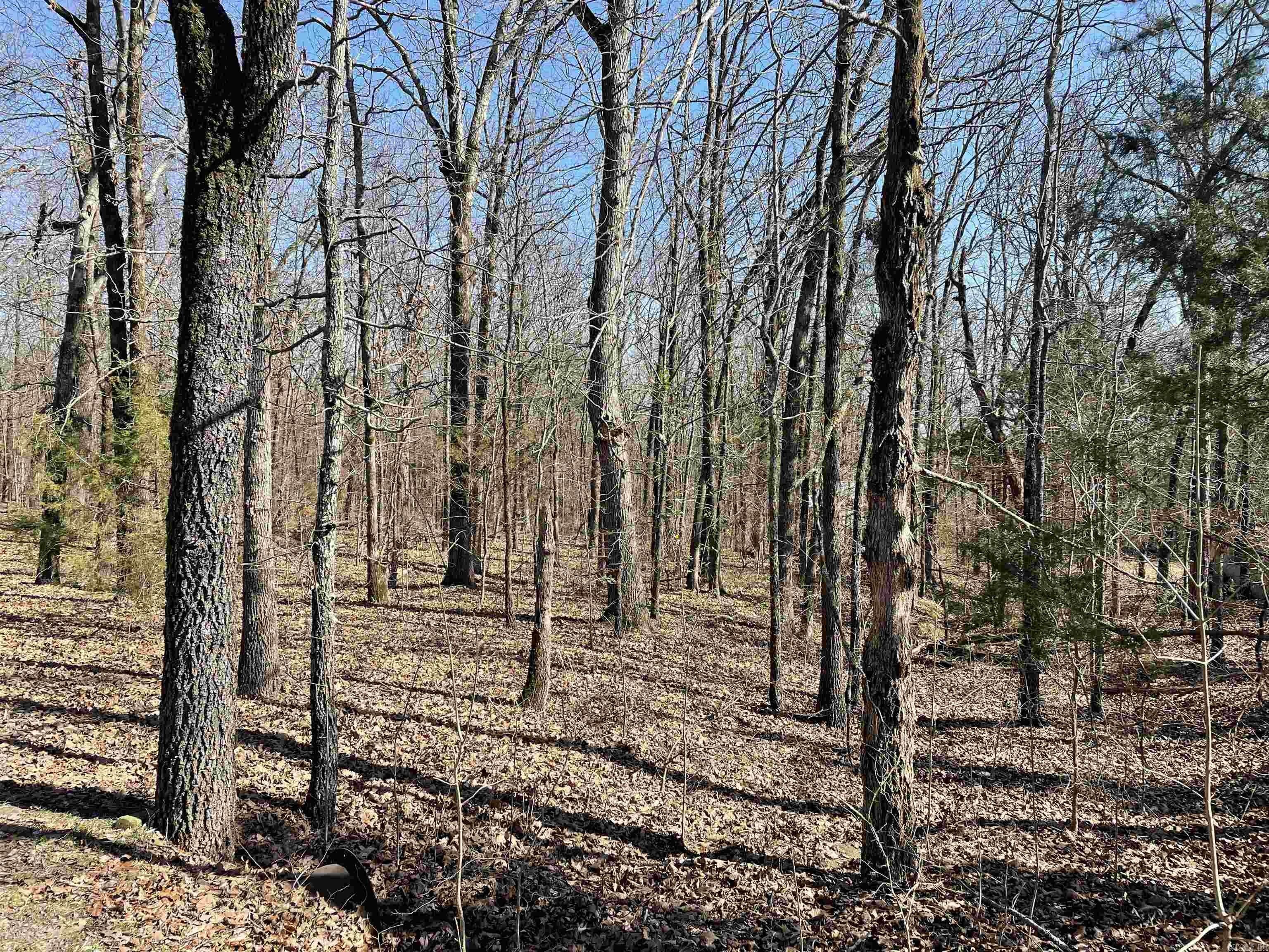 Conway, Faulkner County, AR Undeveloped Land, Homesites for sale
