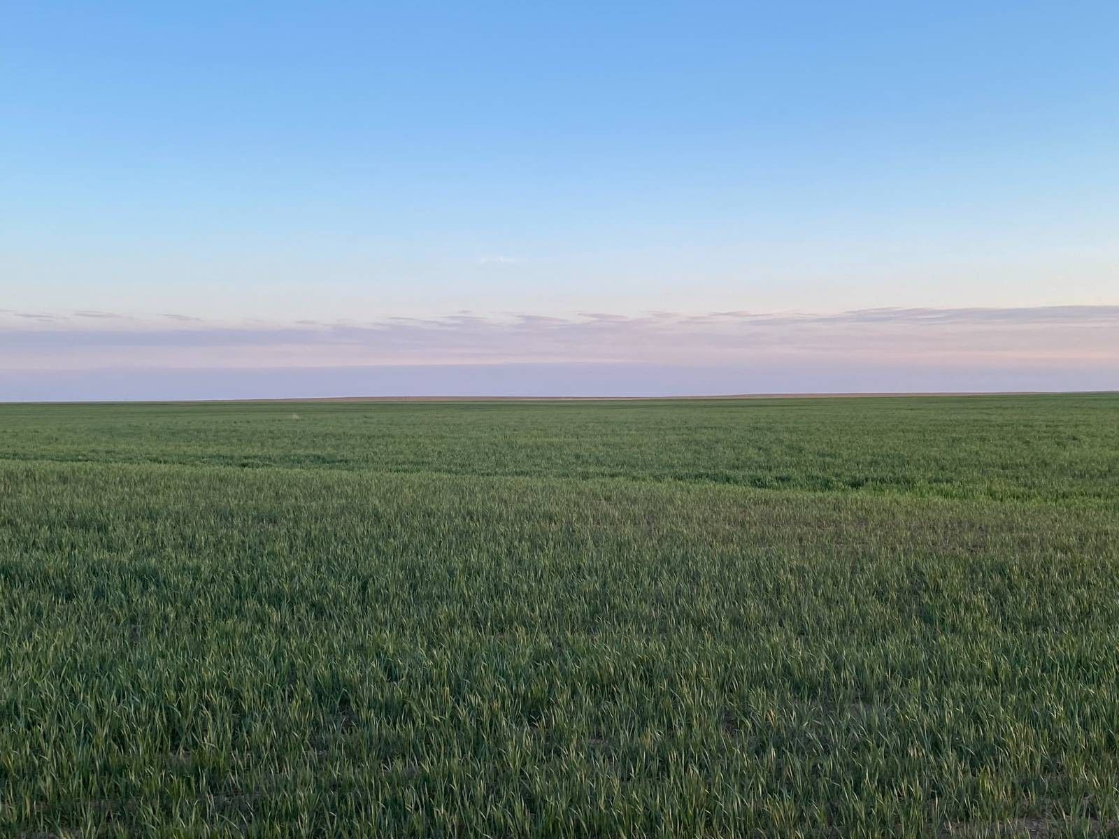 Rozel, Pawnee County, KS Undeveloped Land for sale Property ID