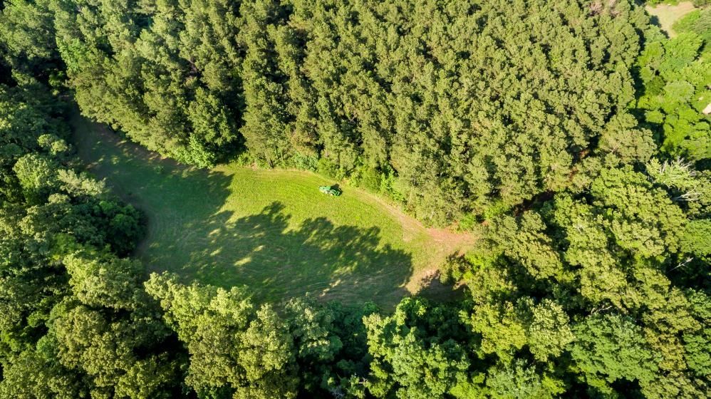 Bentonia, Yazoo County, MS Timberland Property, Undeveloped Land