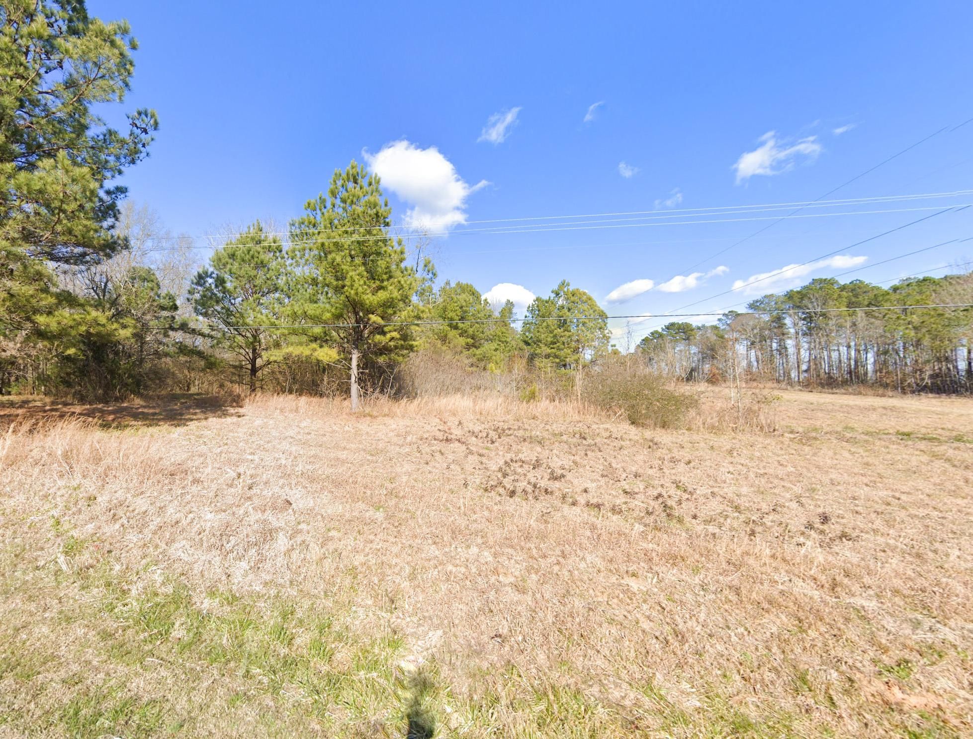 Franklin Ferry Road, Oakman, AL 35579 LandWatch