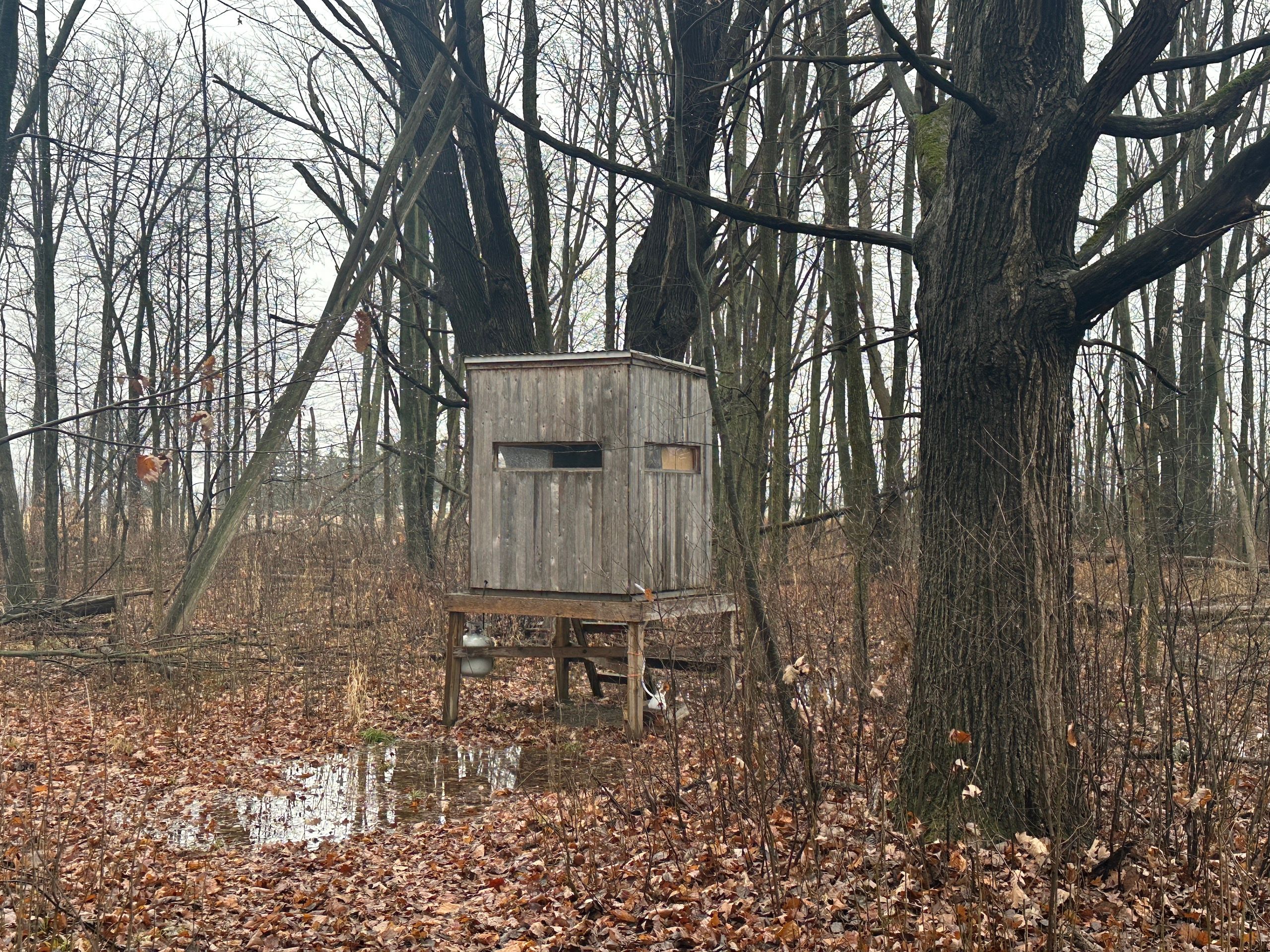 Deford, Tuscola County, MI Recreational Property for sale Property ID