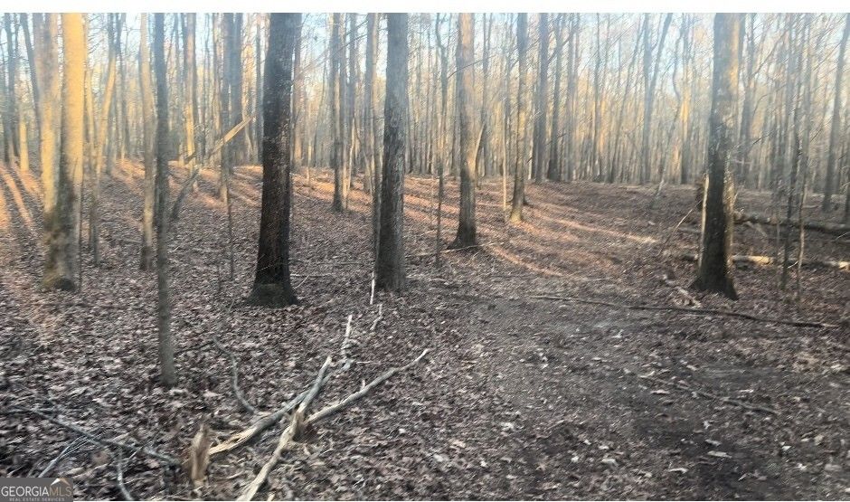 Mcdonough, Henry County, GA Undeveloped Land for sale Property ID