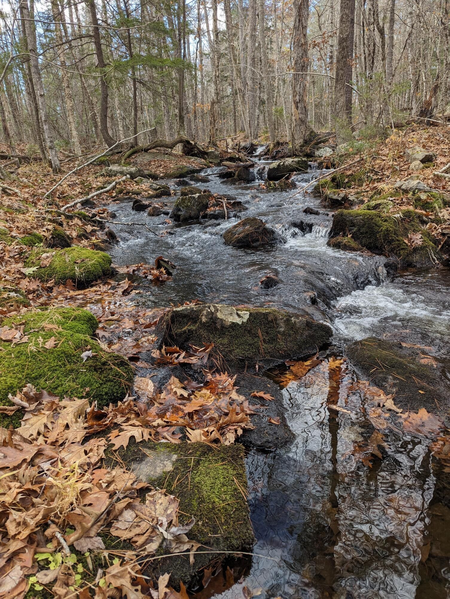 Monroe, Waldo County, ME Undeveloped Land, Lakefront Property