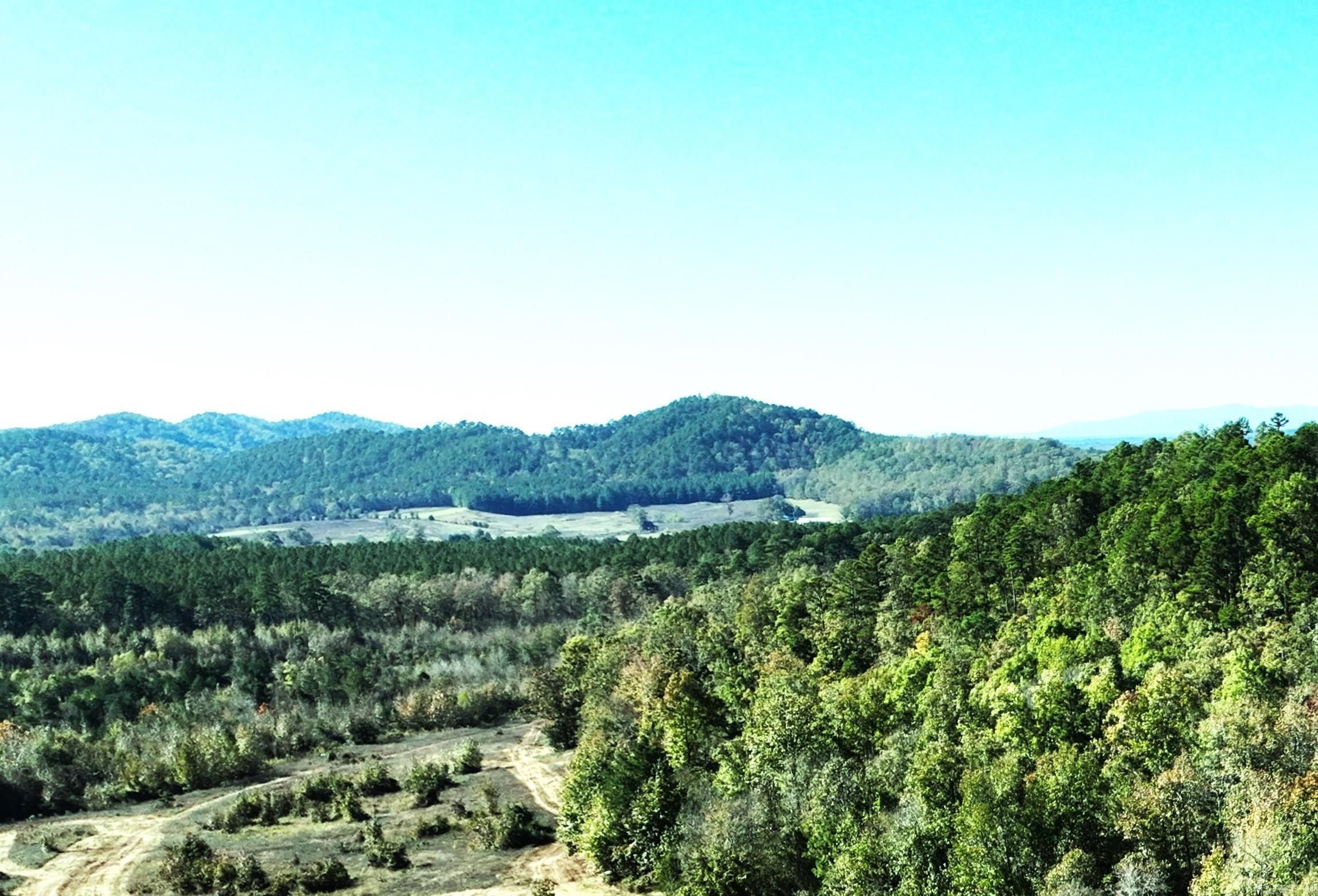 Oden, Montgomery County, AR Undeveloped Land for sale Property ID