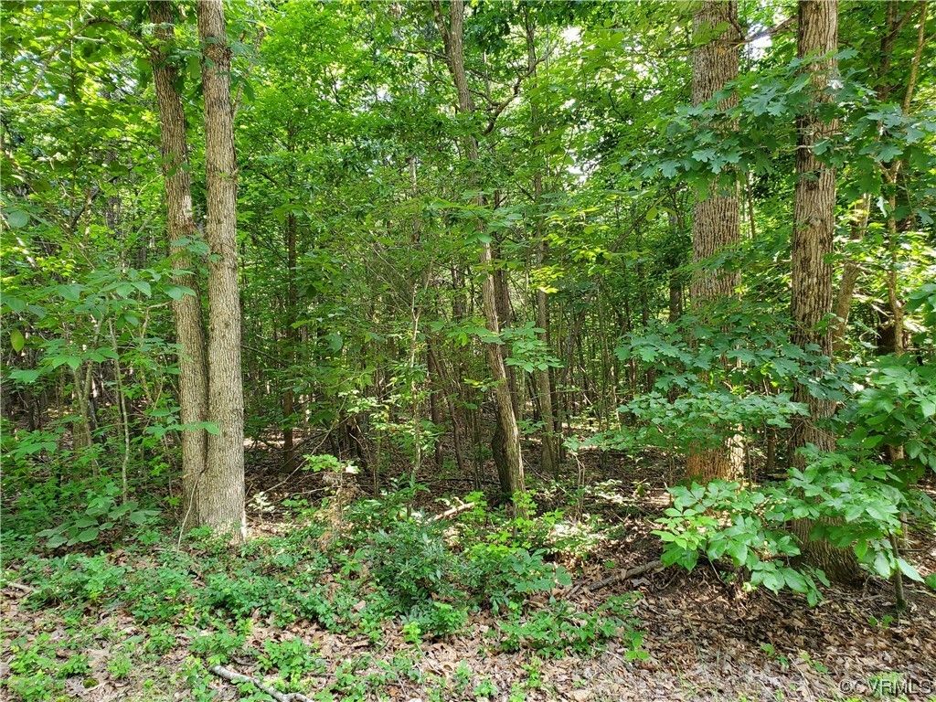 Crewe, Nottoway County, VA Undeveloped Land for sale Property ID