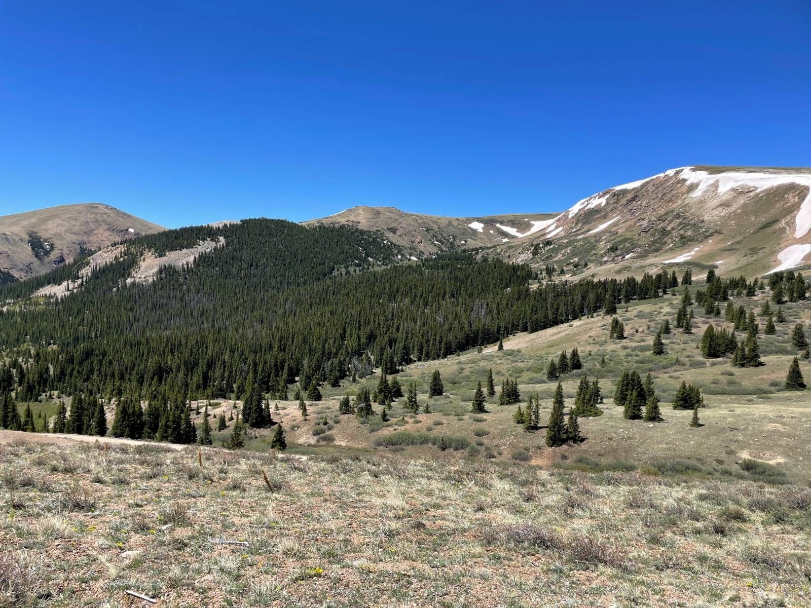 Fairplay, Park County, CO Undeveloped Land for sale Property ID