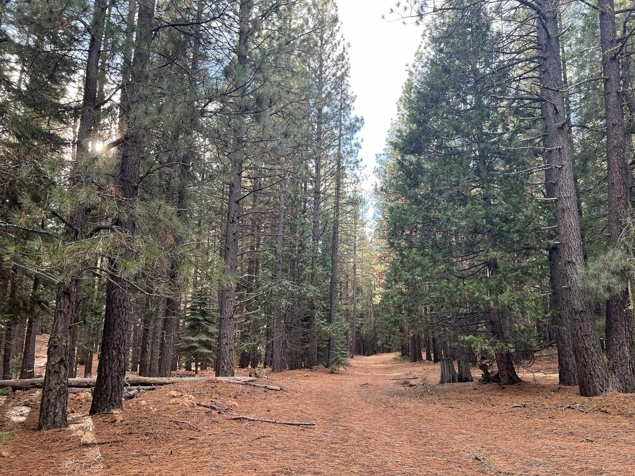 Clio, Plumas County, CA Undeveloped Land for sale Property ID 418579632 LandWatch