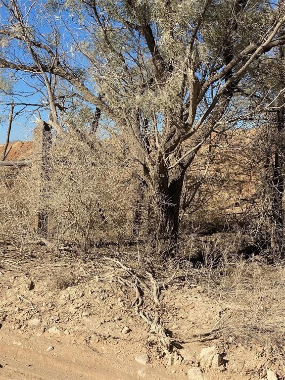 Lueders, Shackelford County, TX Undeveloped Land for sale Property ID