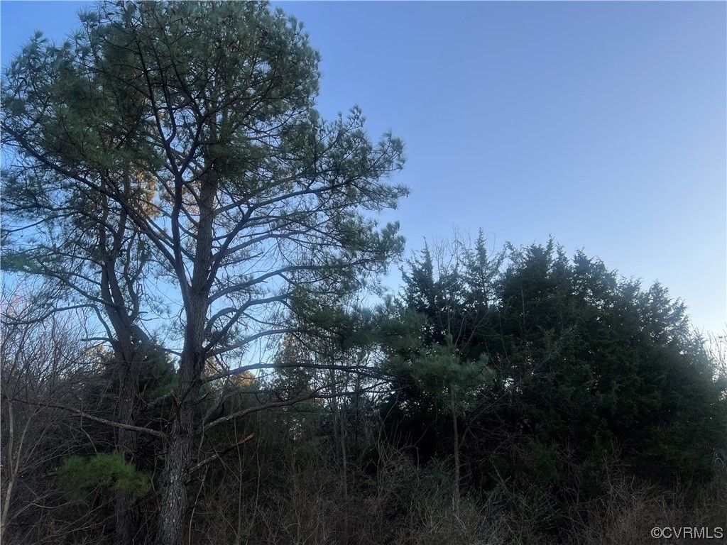 Appomattox, Appomattox County, VA Undeveloped Land for sale Property ID