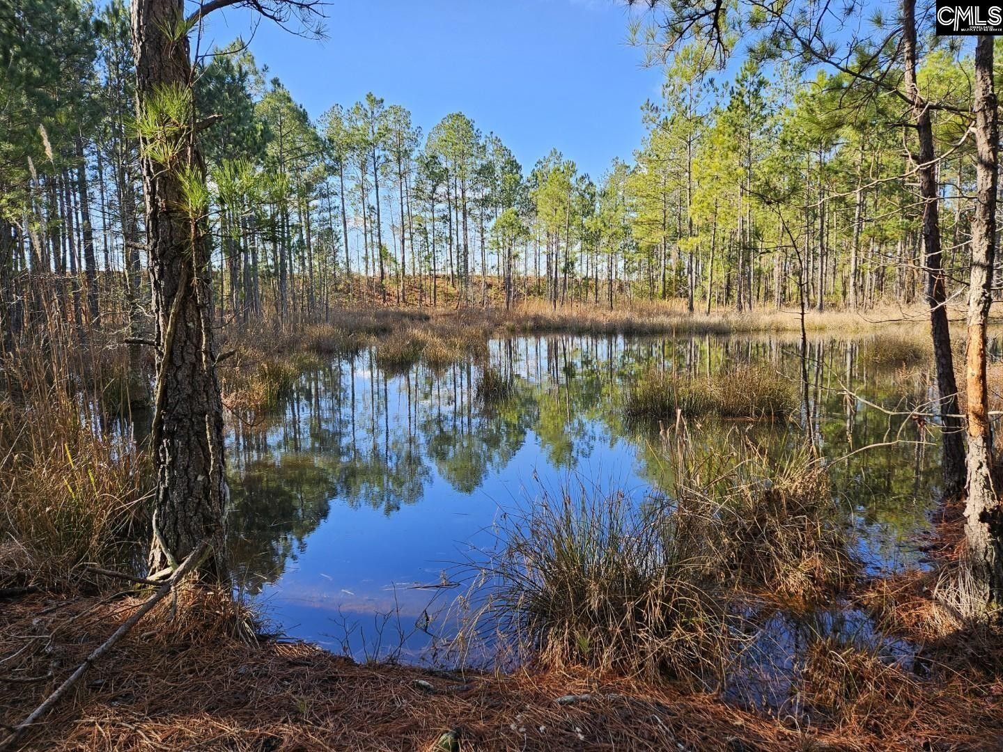 Cassatt, Kershaw County, SC Lakefront Property, Waterfront Property