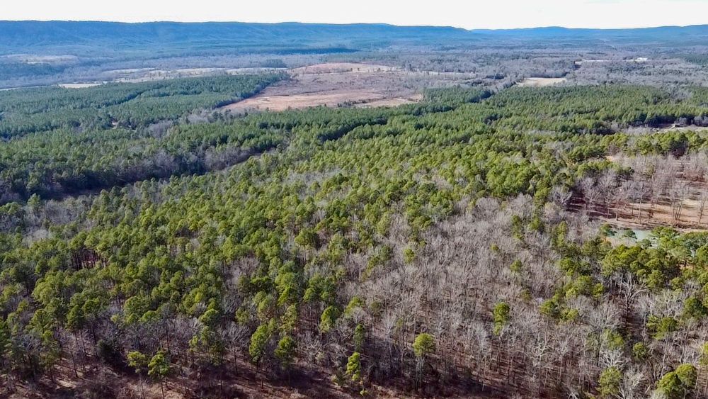 Smithville, Le Flore County, OK Recreational Property, Timberland