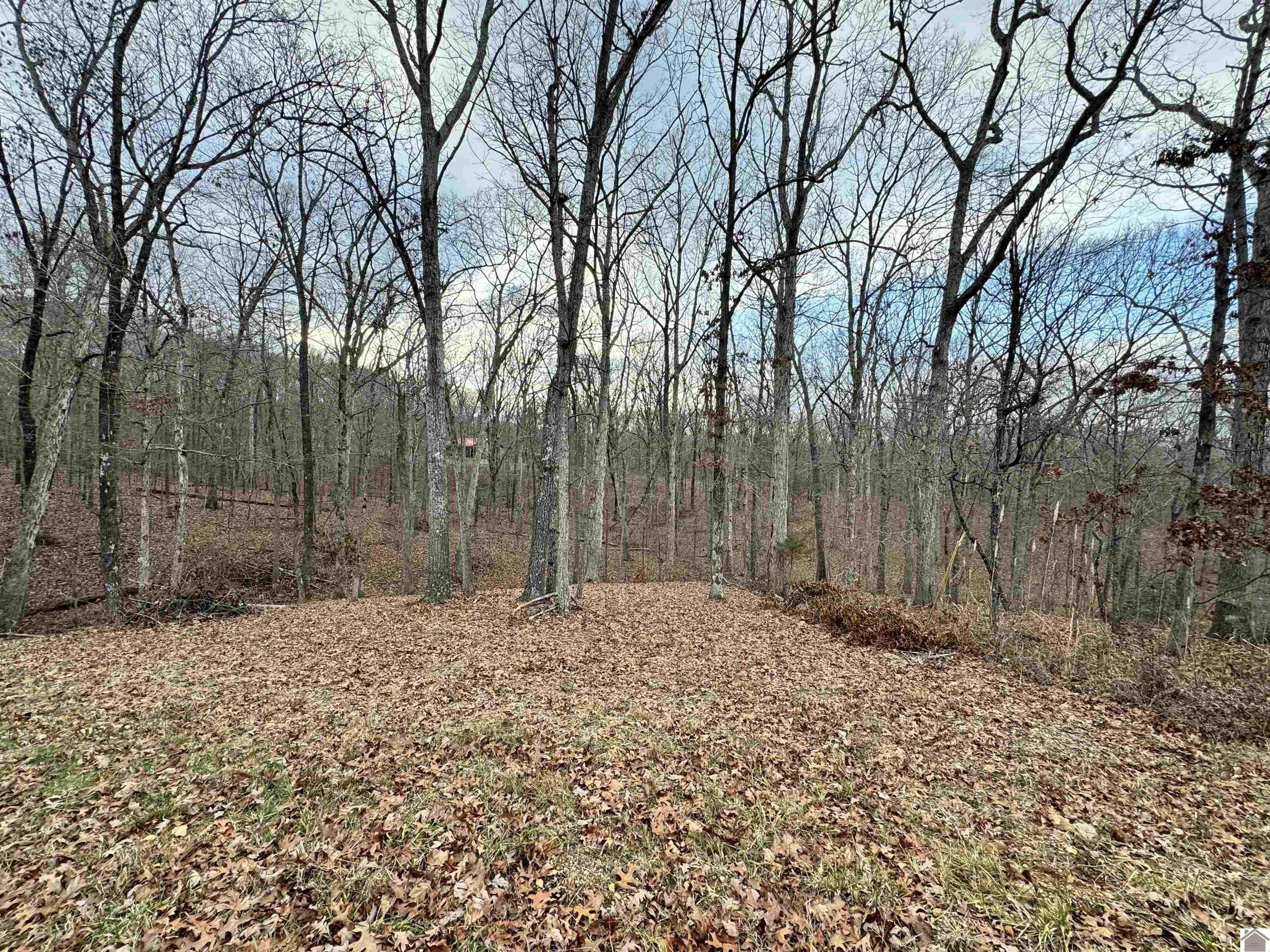 New Concord, Calloway County, KY Undeveloped Land, Homesites for sale