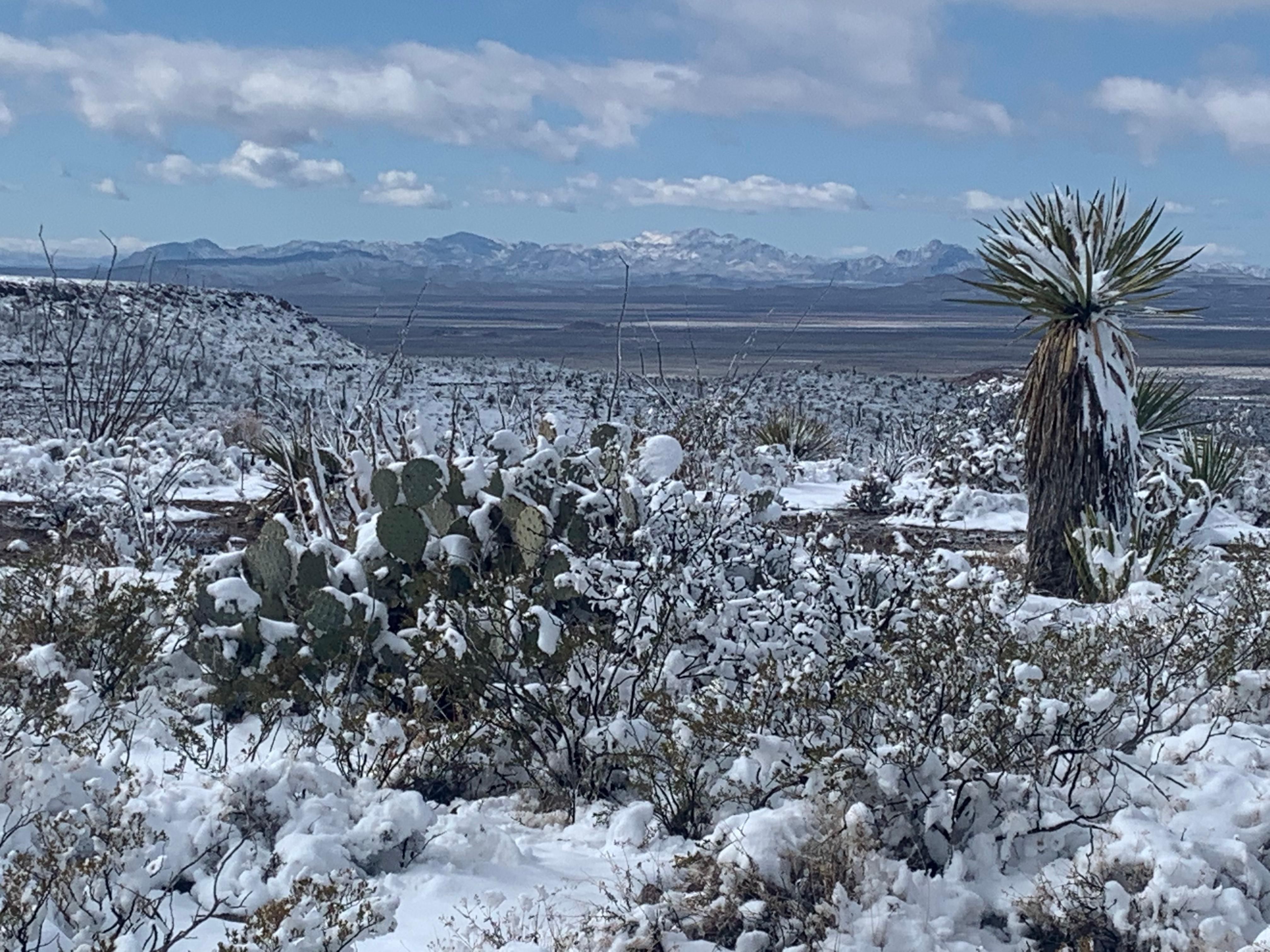 31.44 acres in Cornudas, TX, 79847 LandWatch