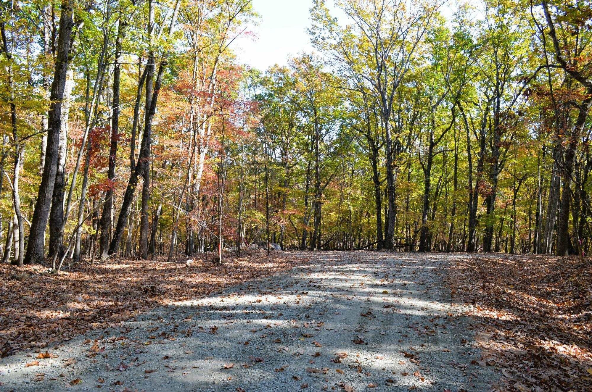 Rougemont, Person County, NC Undeveloped Land, Homesites for sale Property ID 418274062 LandWatch