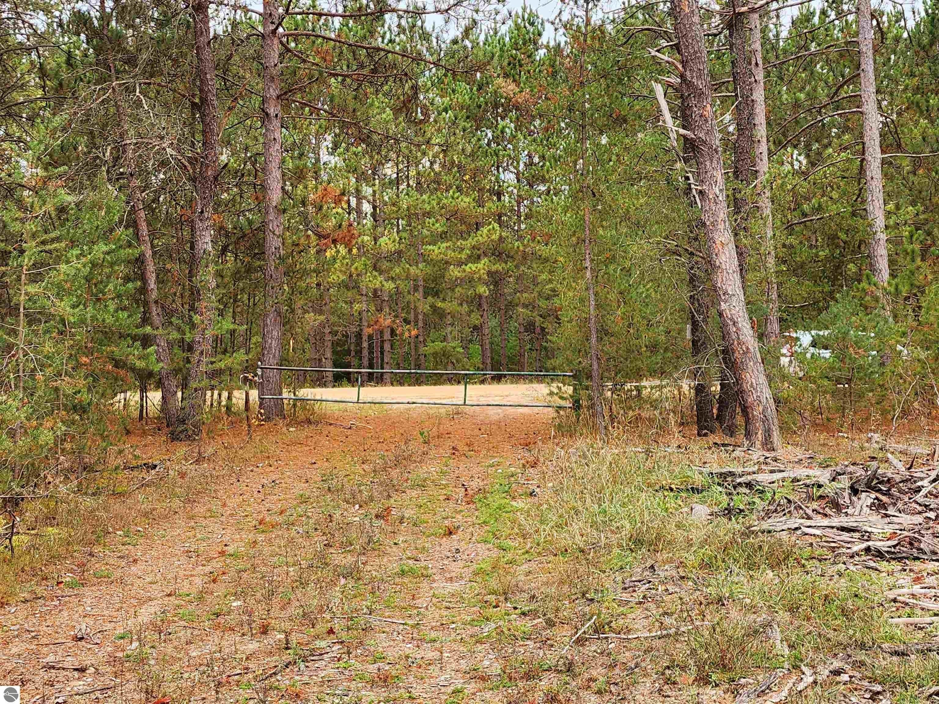 Kaleva, Manistee County, MI Undeveloped Land for sale Property ID