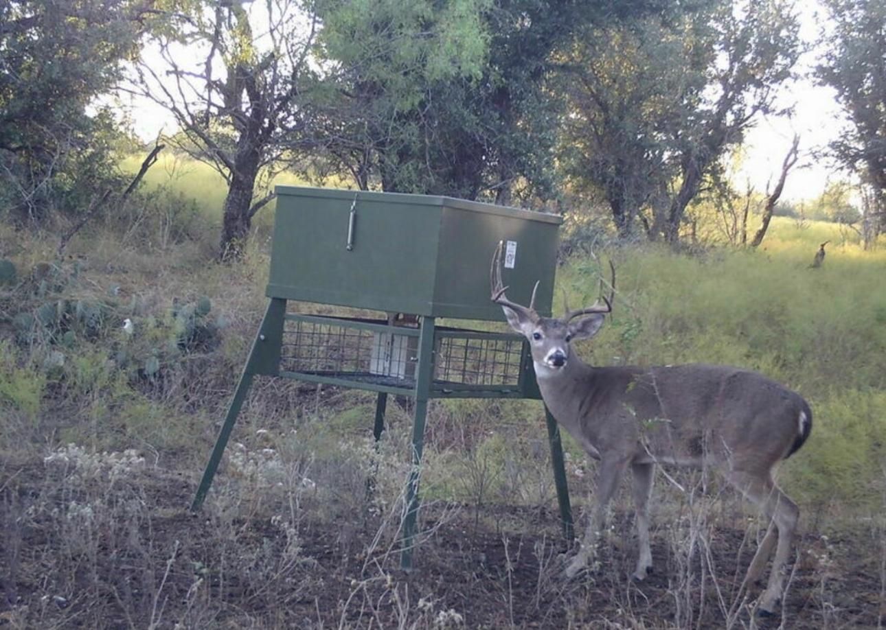 Menard, Menard County, TX Farms and Ranches, Recreational Property