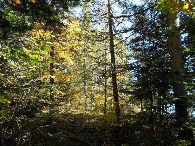 Gouldsboro, Hancock County, ME Homesites for sale Property ID