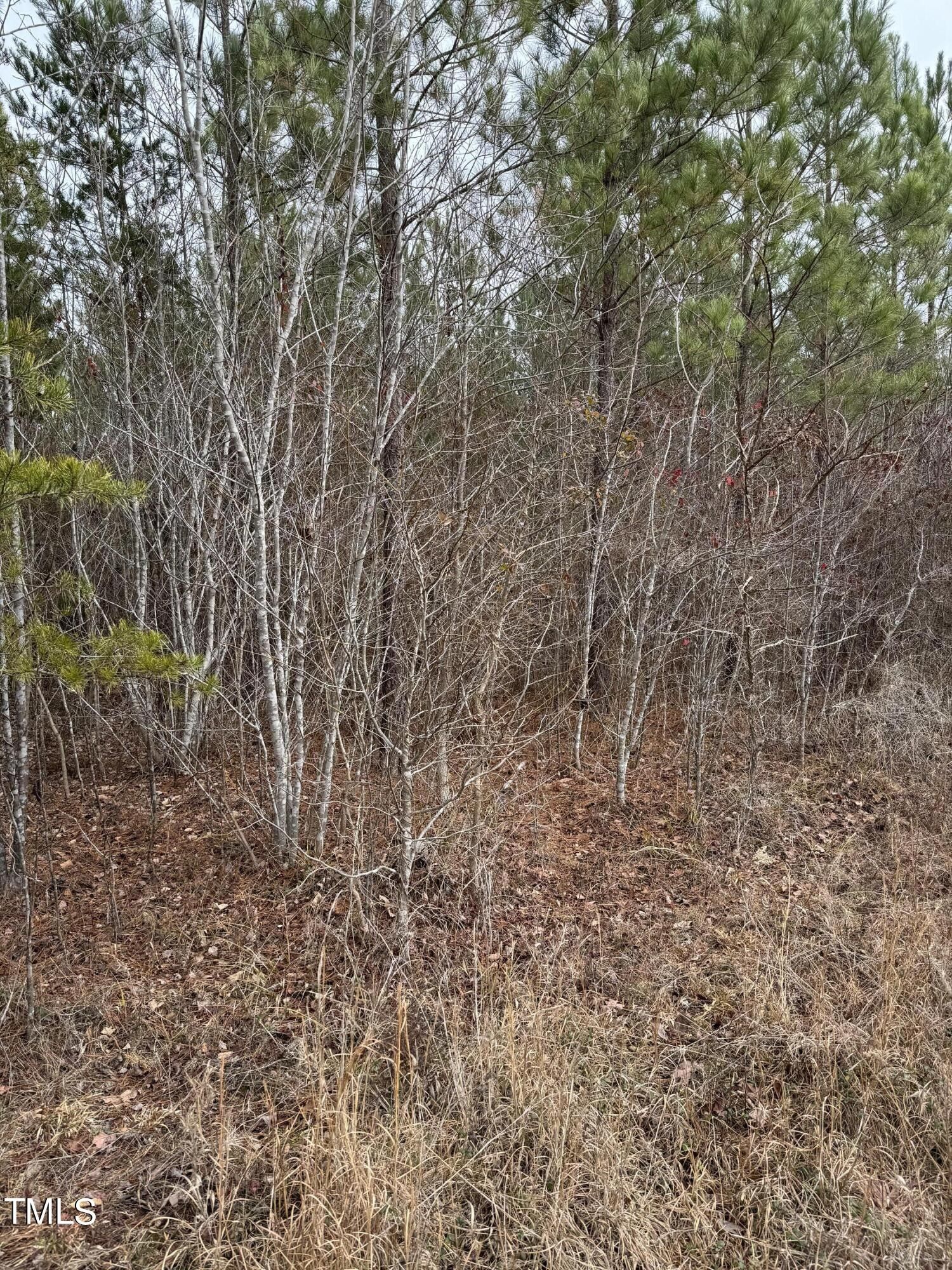 Burlington, Caswell County, NC Undeveloped Land for sale Property ID