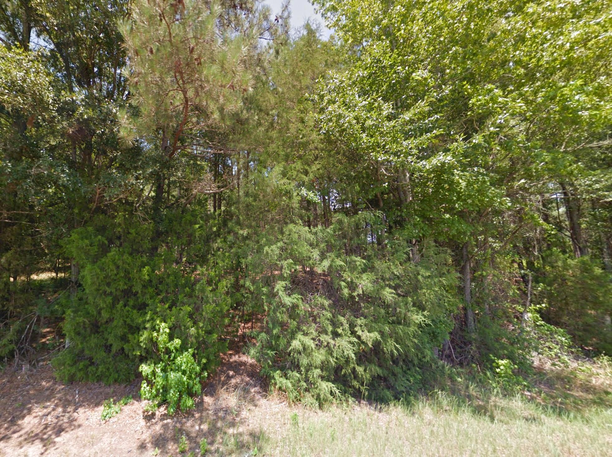 Abbeville, Abbeville County, SC Undeveloped Land, Hunting Property