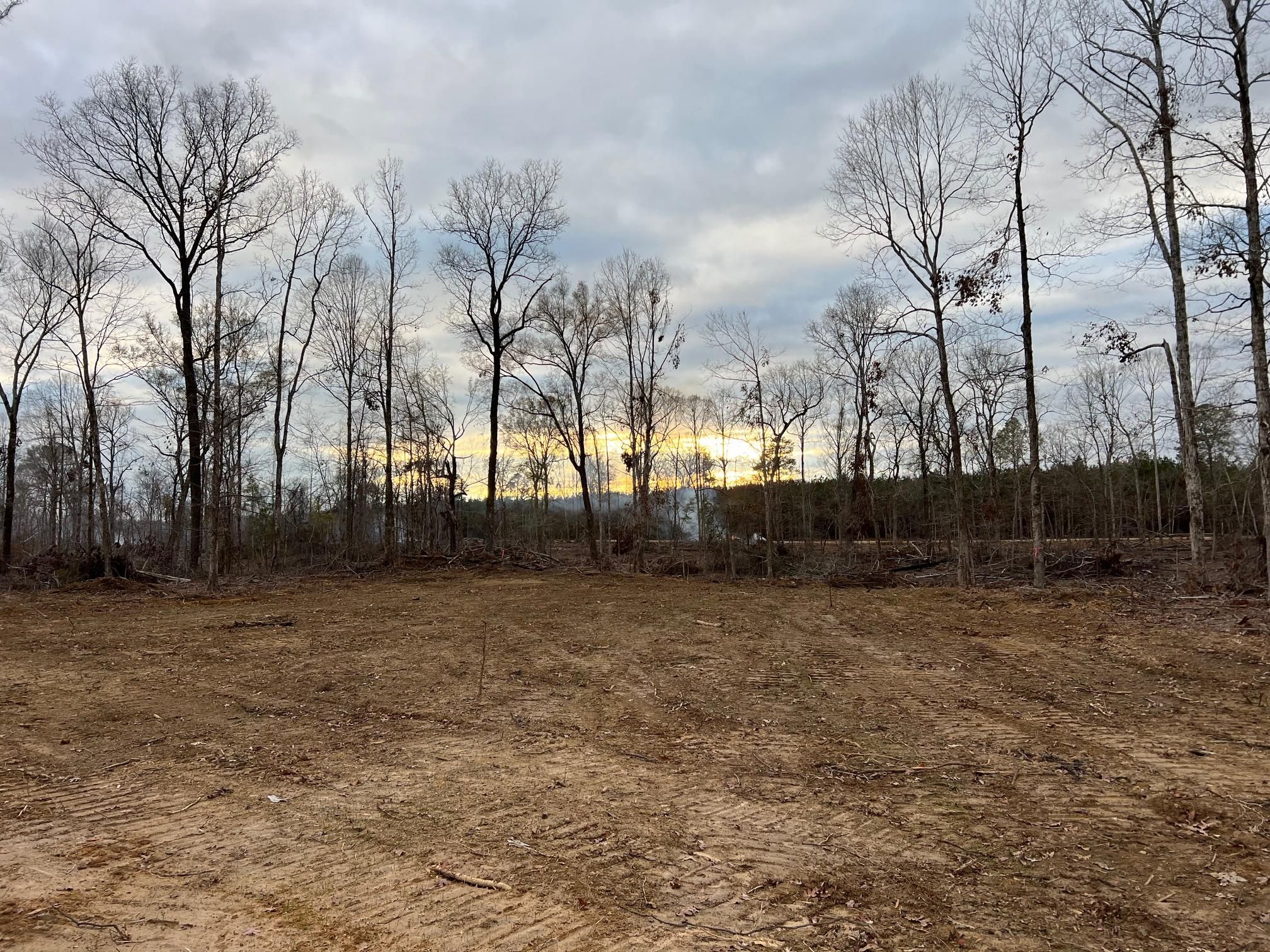 West Monroe, Ouachita Parish, LA Timberland Property, Hunting Property