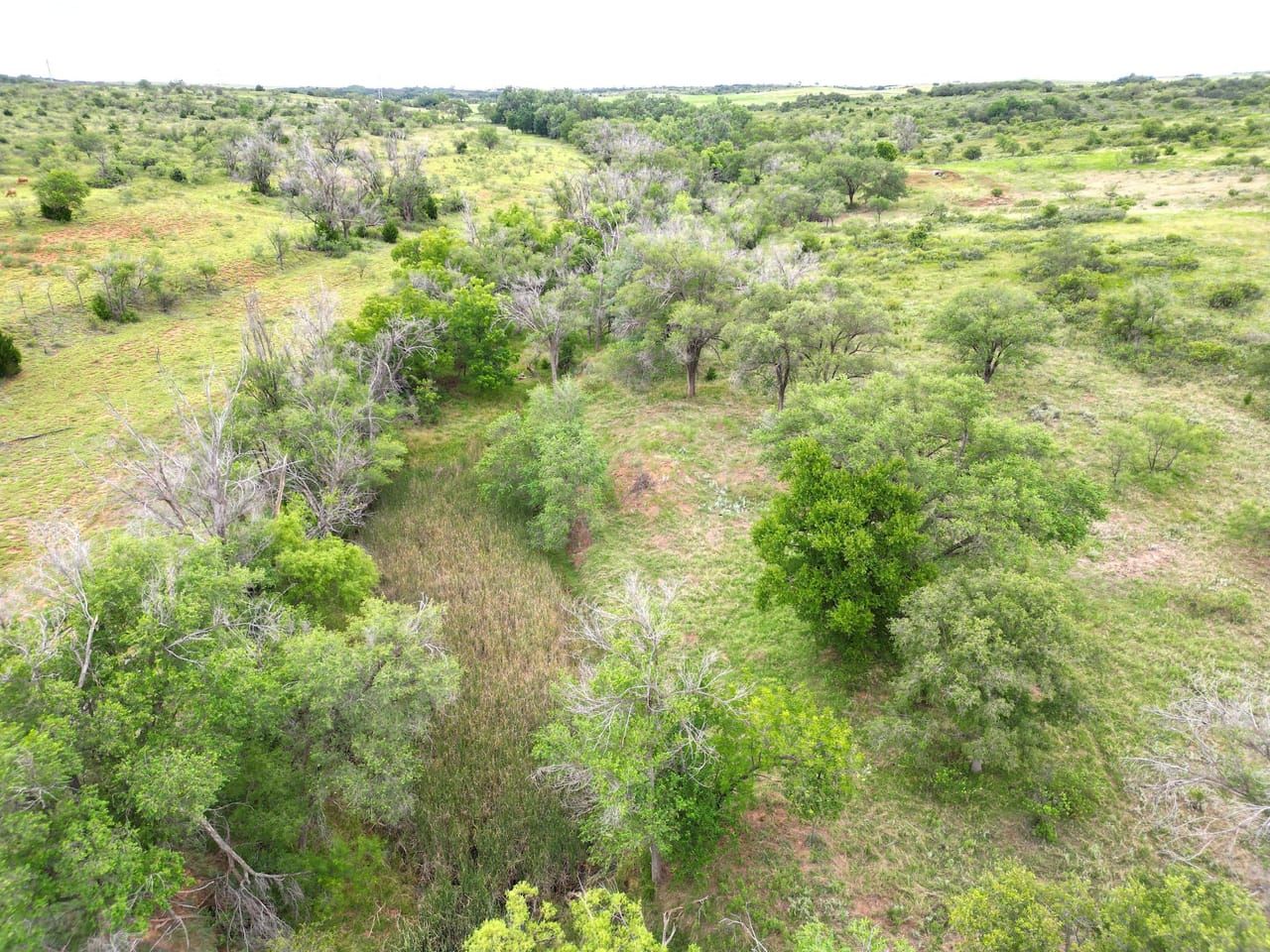 160 acres in Sayre, OK, 73662 LandWatch