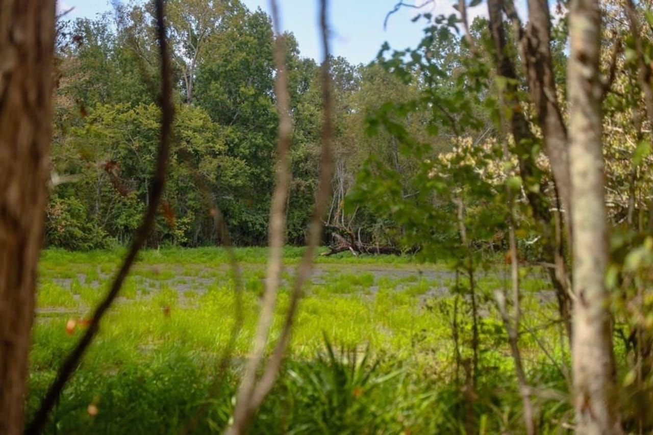 Saint Gabriel, Iberville Parish, LA Recreational Property, Timberland