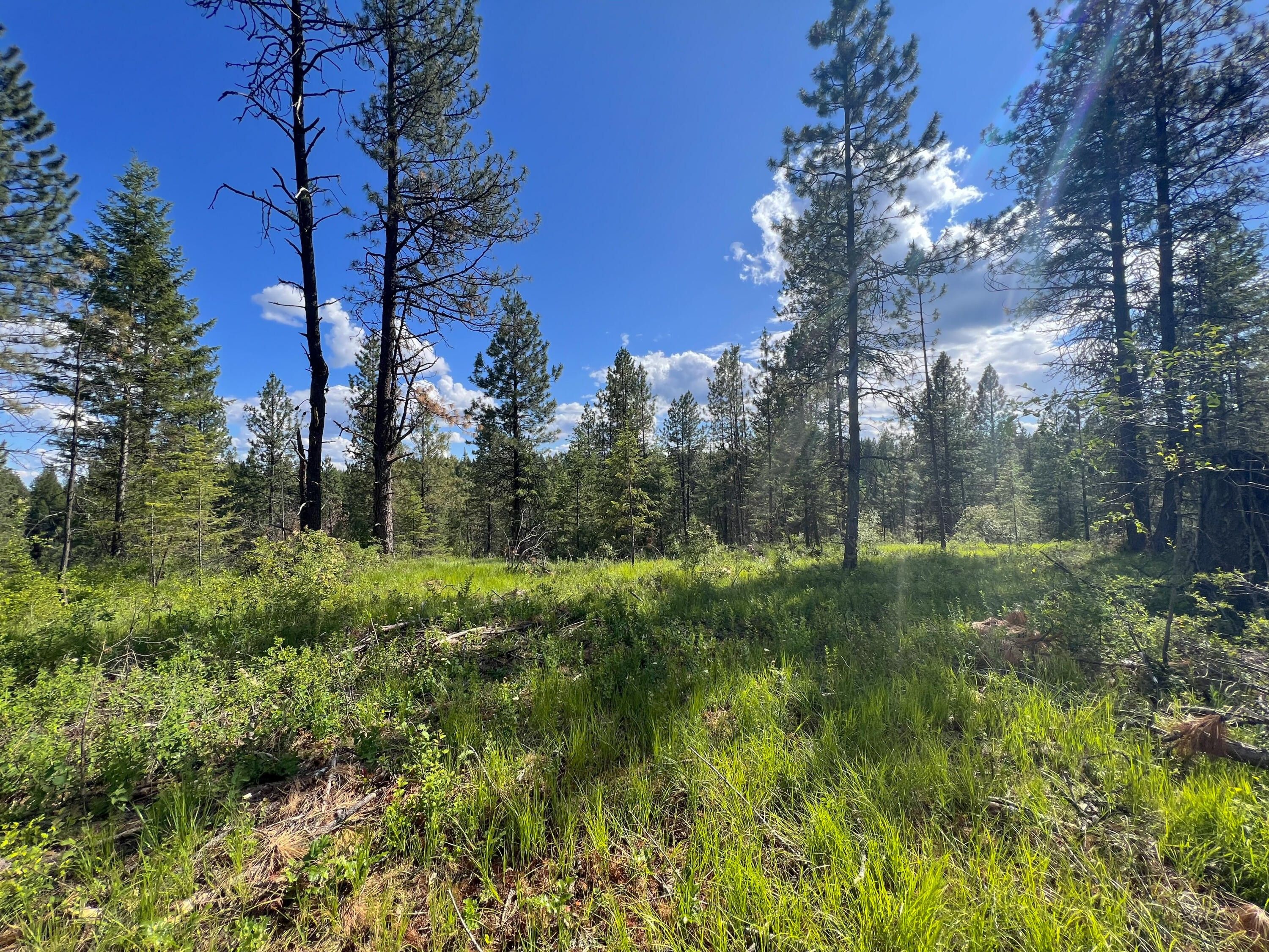 Springdale, Stevens County, WA Undeveloped Land, Lakefront Property