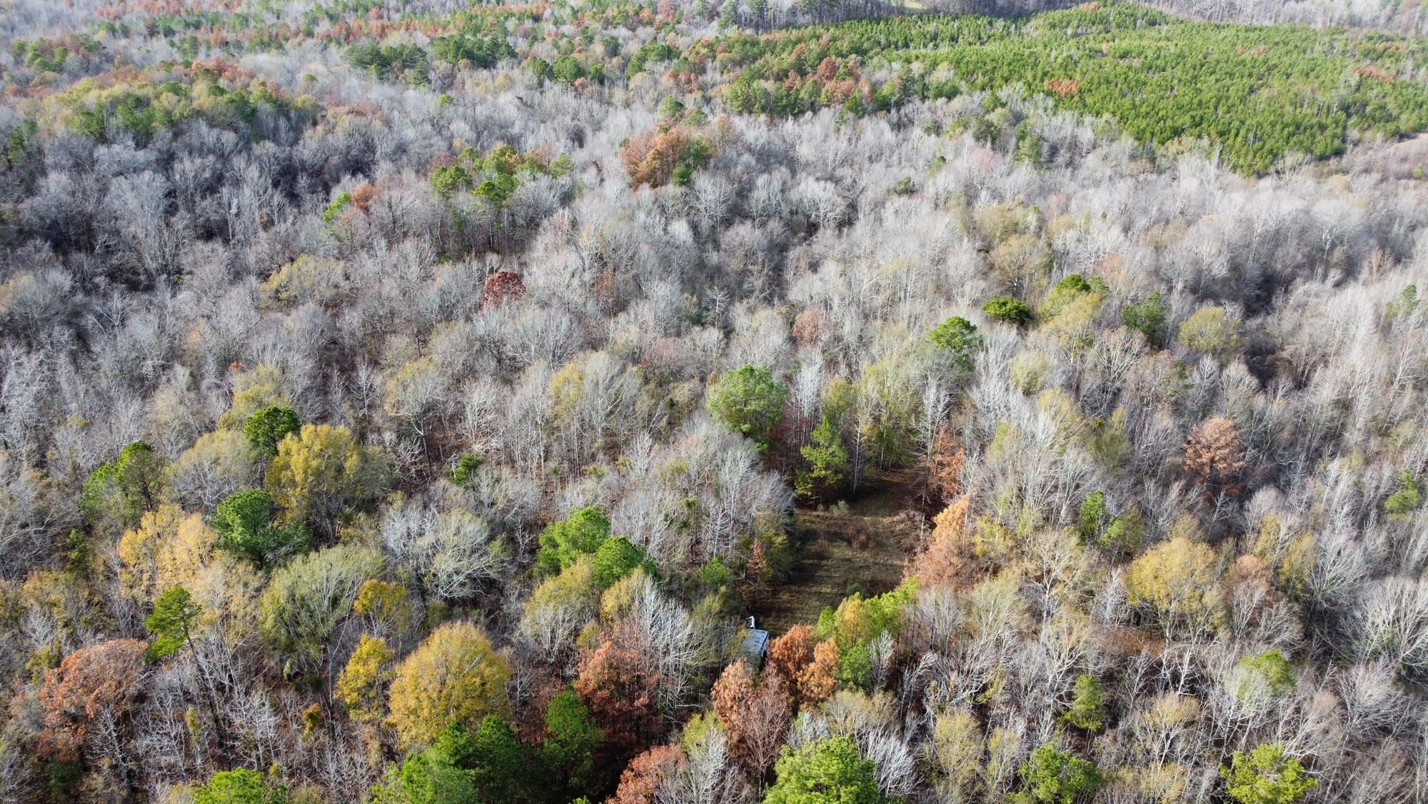 Hazlehurst, Copiah County, MS Recreational Property, Timberland Property for sale Property ID