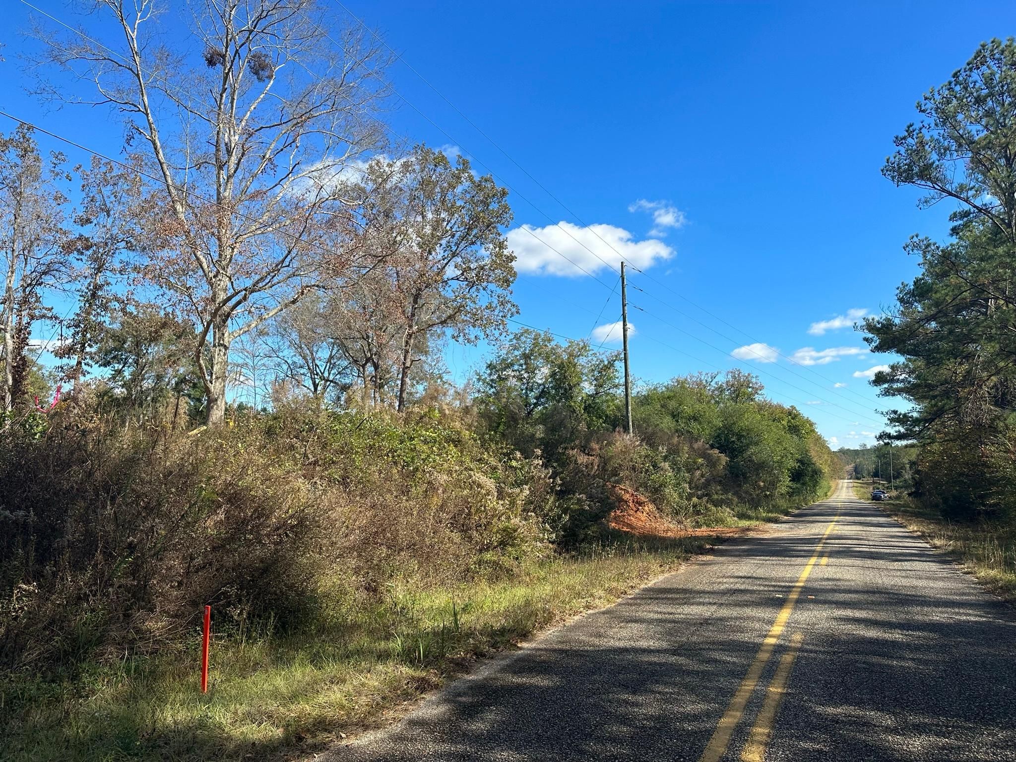 Buena Vista, Marion County, GA Recreational Property, Undeveloped Land