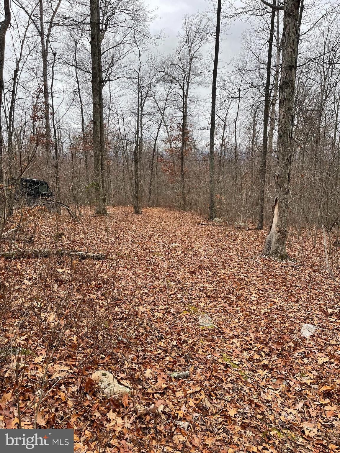 Edinburg, Shenandoah County, VA Undeveloped Land for sale Property ID