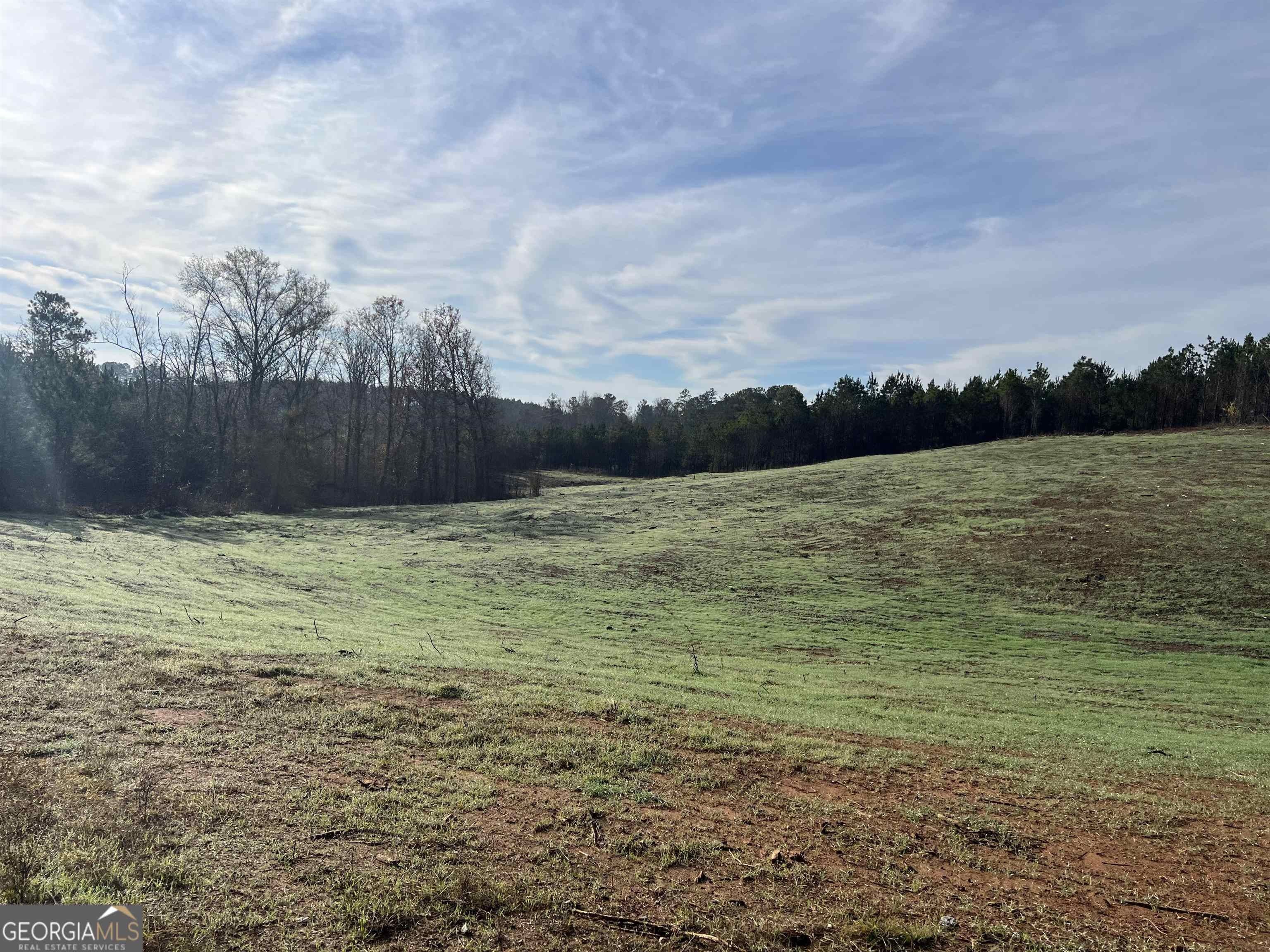 Franklin, Heard County, GA Undeveloped Land for sale Property ID
