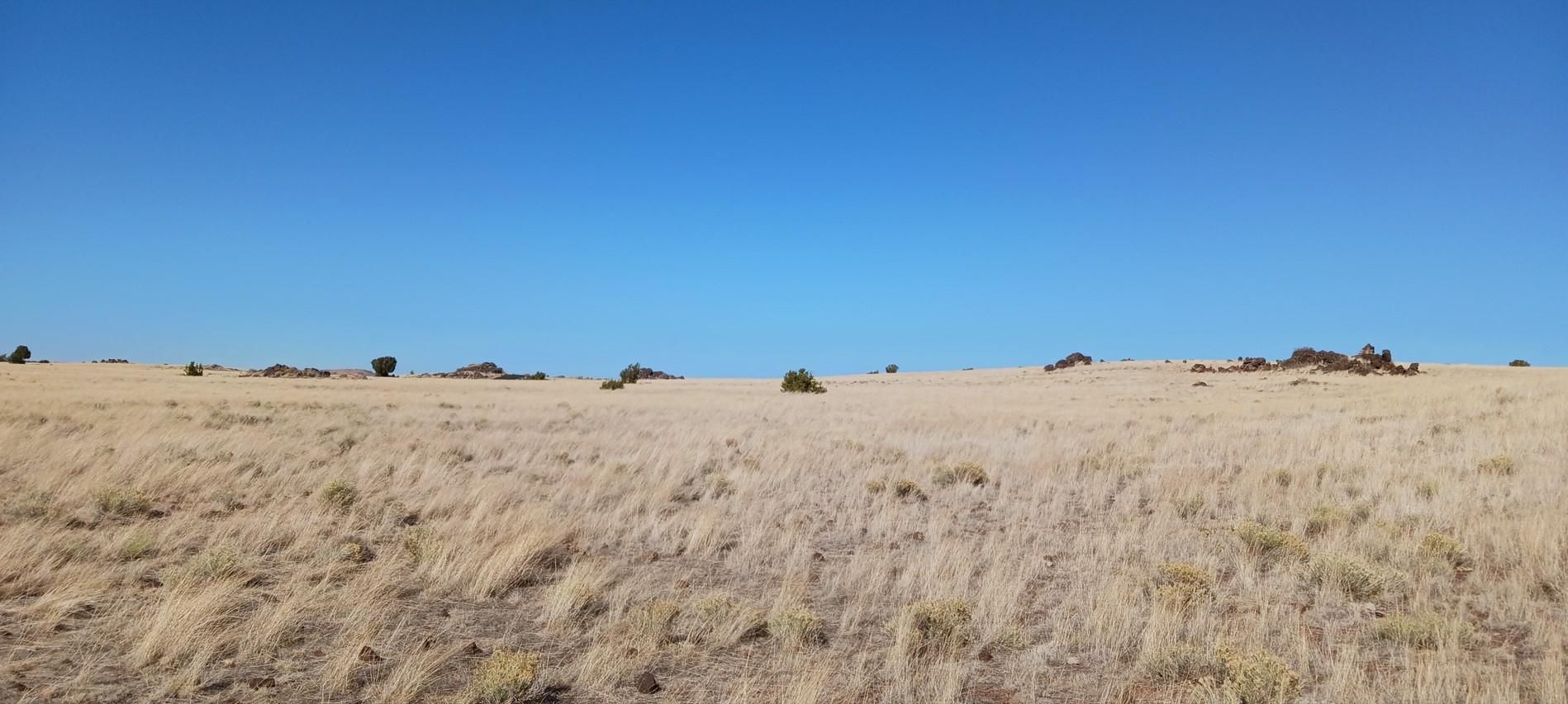 Concho, Apache County, AZ Recreational Property, Undeveloped Land
