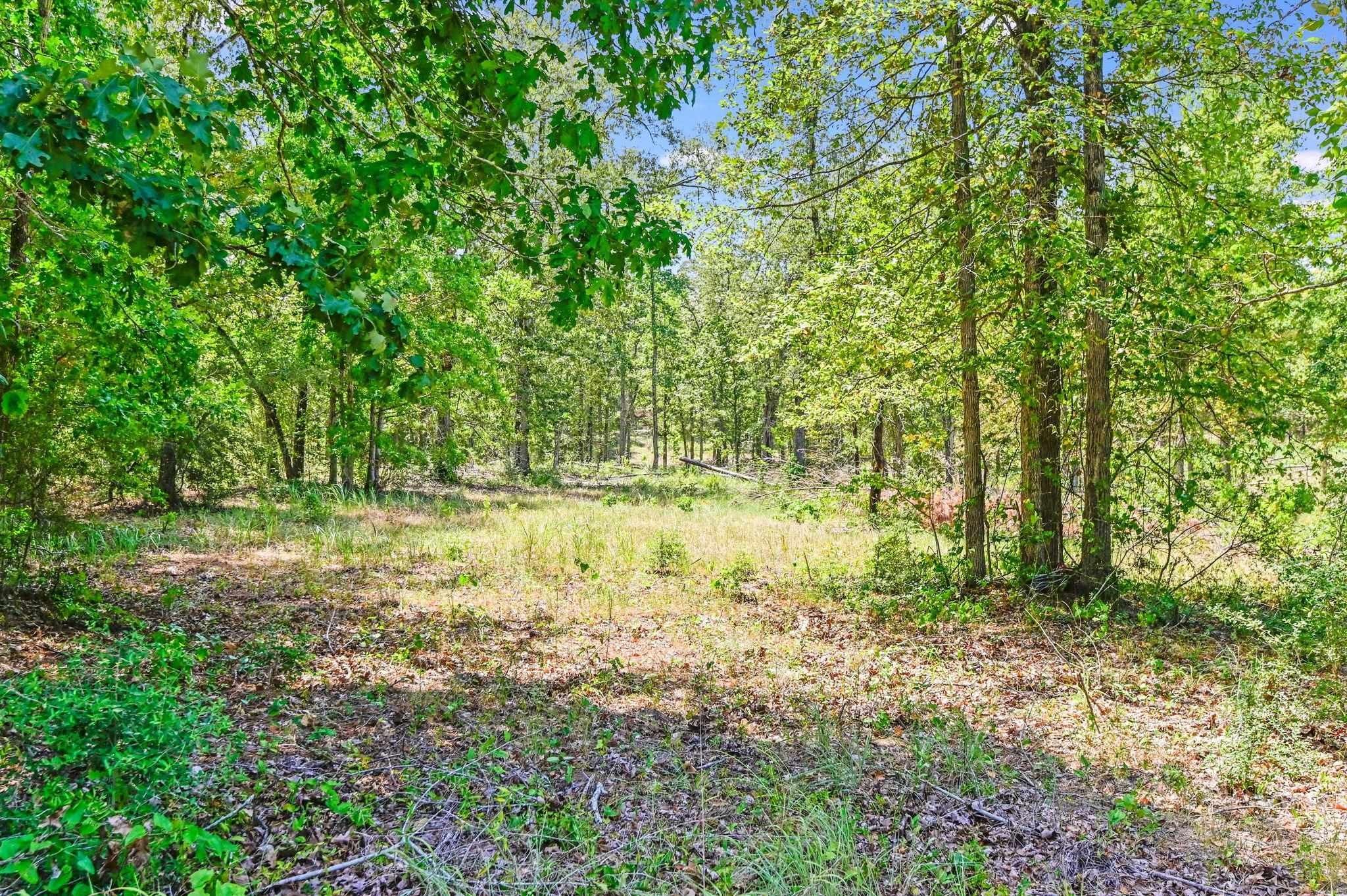 Brookeland, Jasper County, TX Undeveloped Land, Homesites for sale