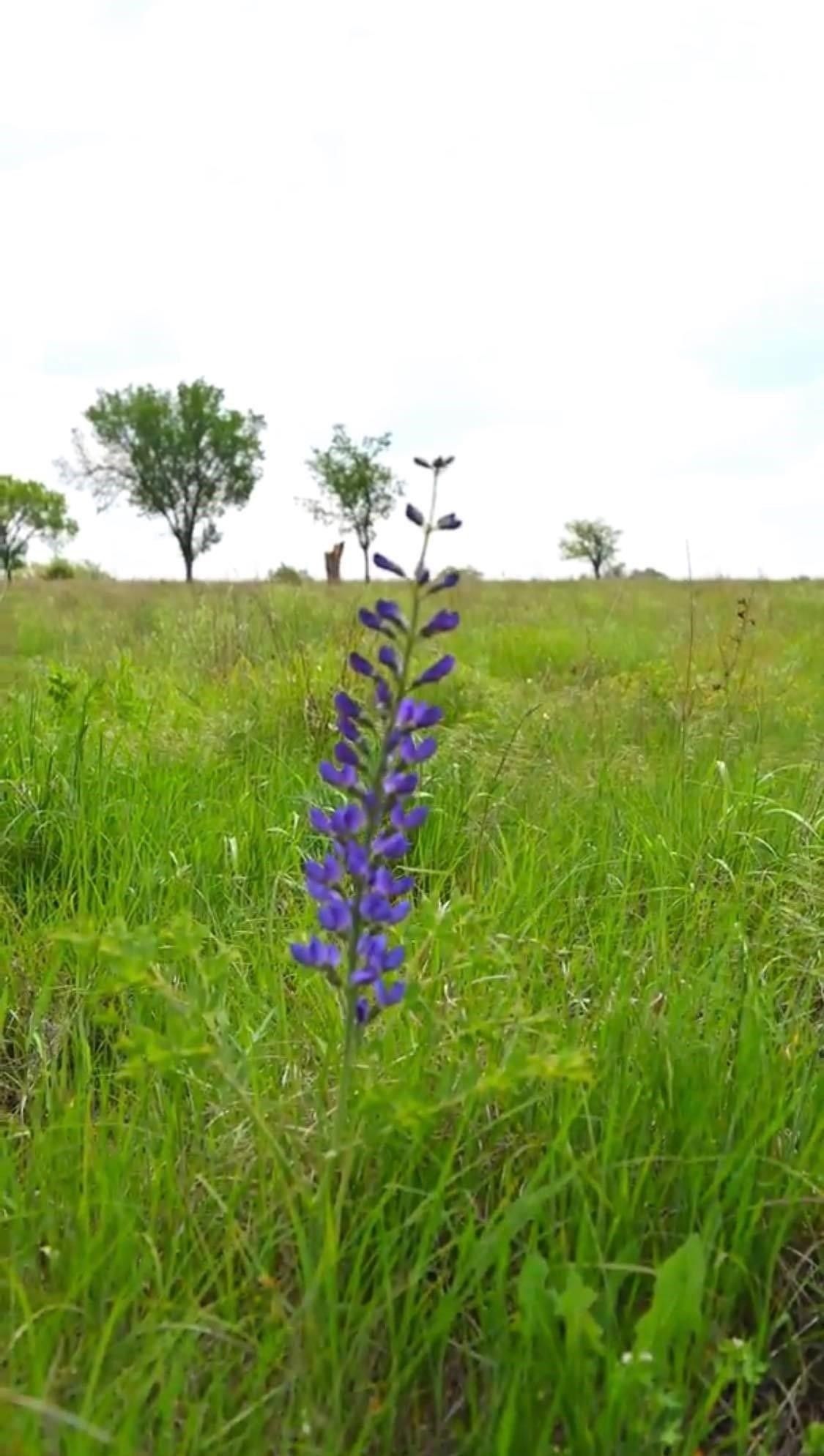 Douglass, Butler County, KS Undeveloped Land for sale Property ID