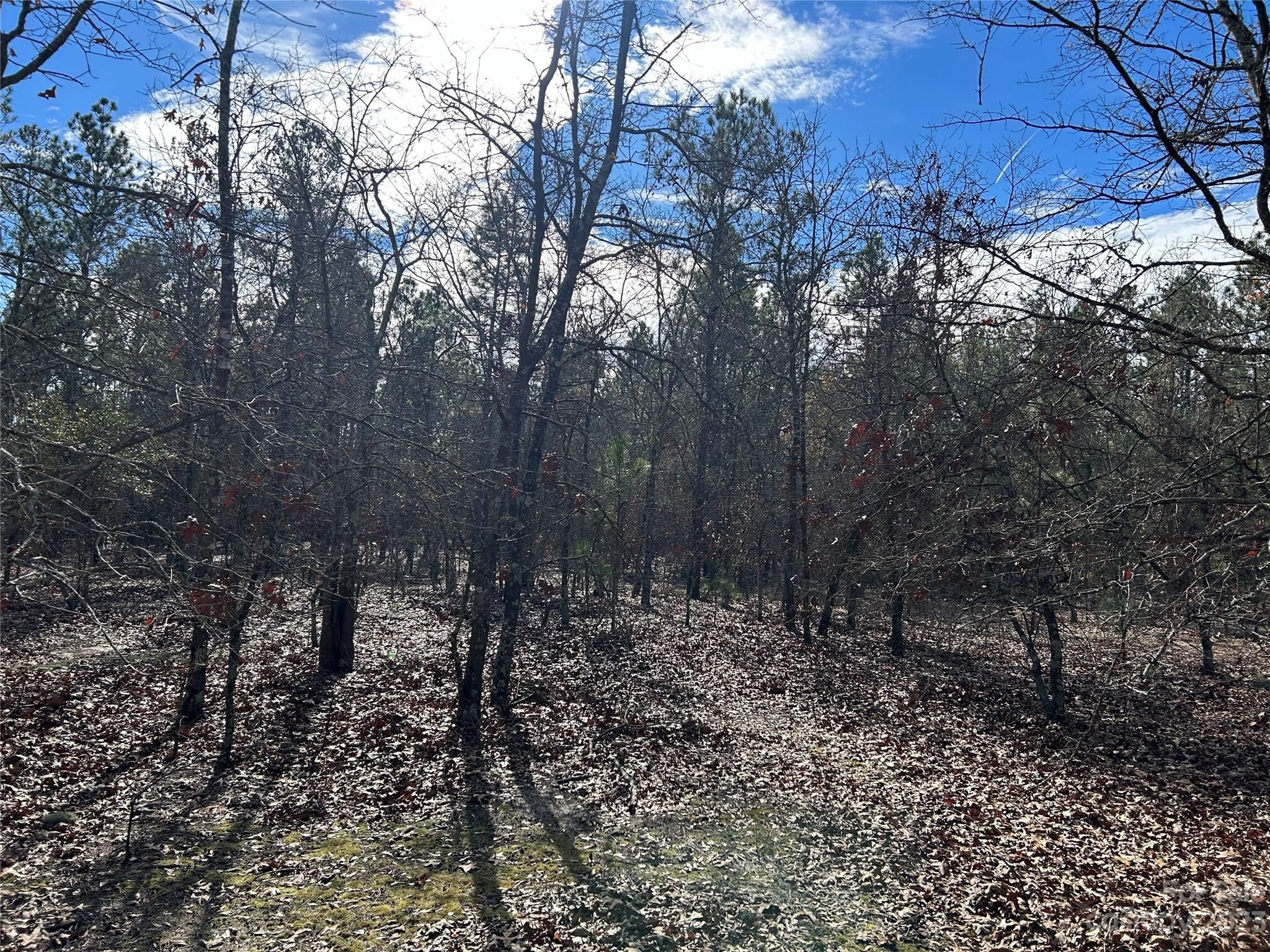 Bethune, Kershaw County, SC Undeveloped Land for sale Property ID