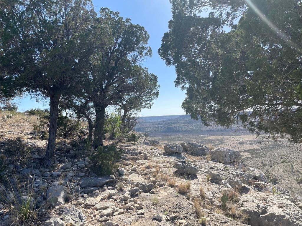 172 acres in Sheffield, TX, 79781 MLS Dudley 14 172 Acres LandWatch