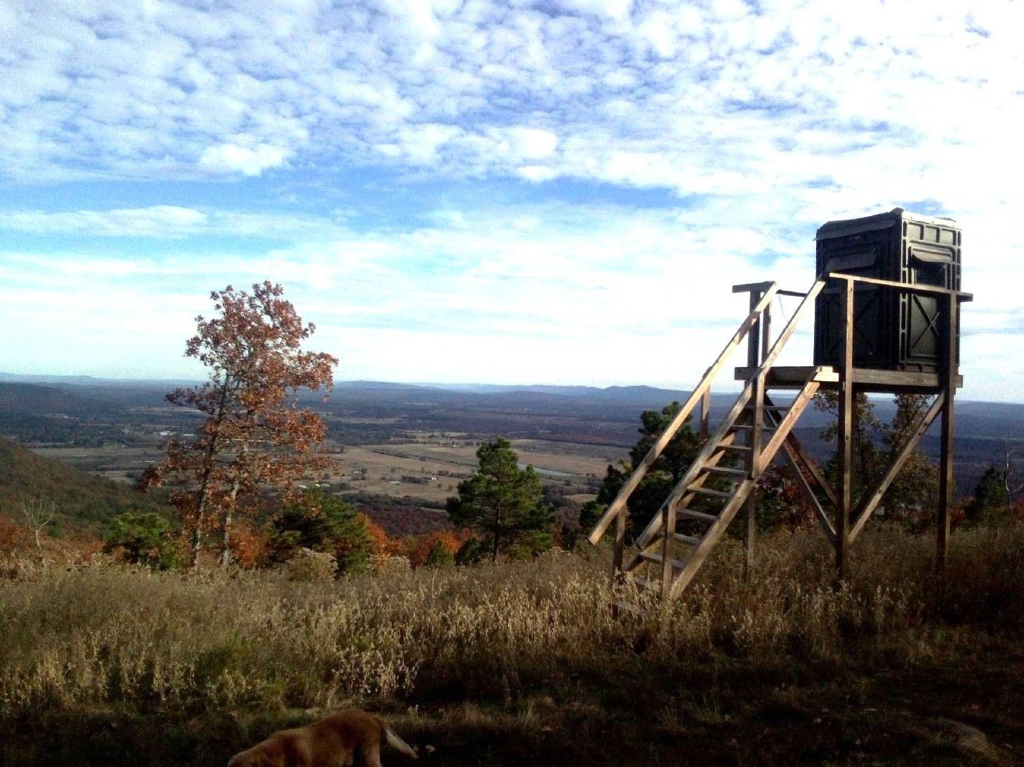 Red Oak, Latimer County, OK Undeveloped Land for sale Property ID