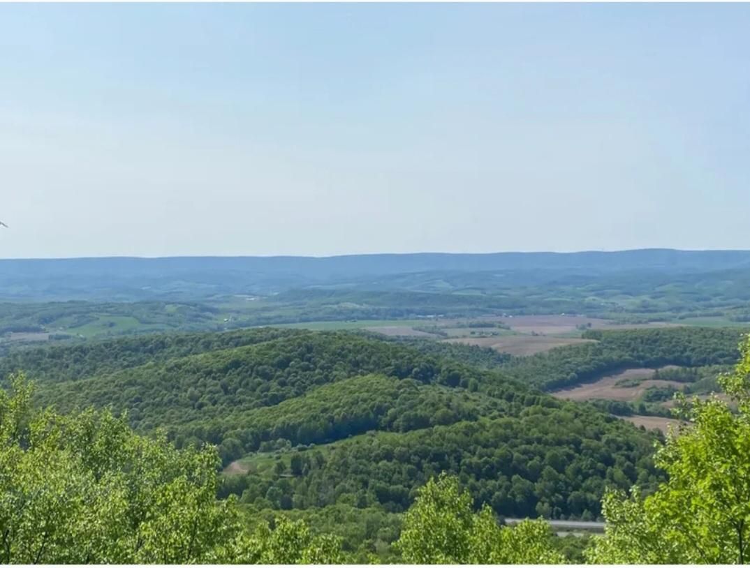 Pennsylvania 869, Osterburg, PA 16667 MLS 088542 LandWatch