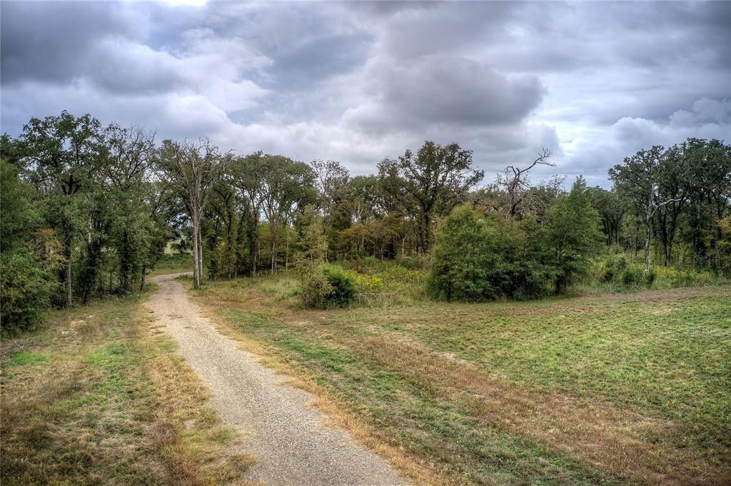 Alba, Rains County, TX Undeveloped Land for sale Property ID 418592017