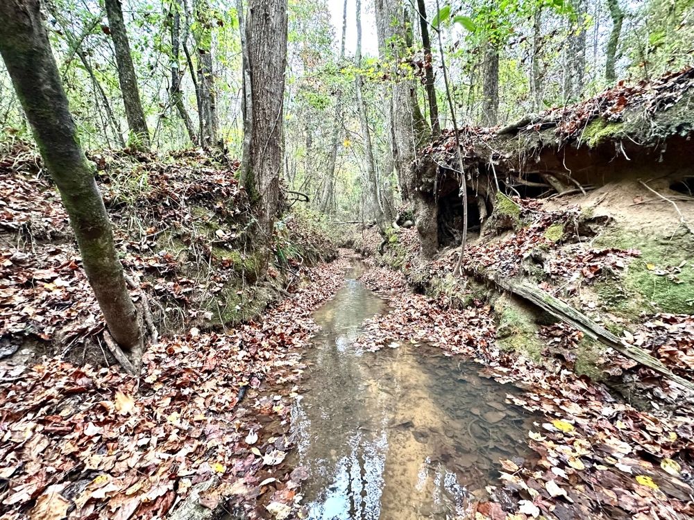 Chilton County Road 332, Plantersville, AL 36758 LandWatch