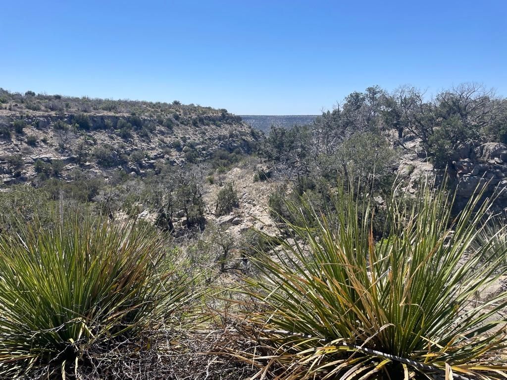Sheffield, Crockett County, TX Farms and Ranches, Recreational Property