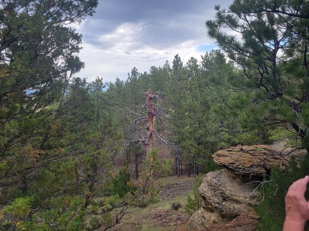 Shawmut, Wheatland County, MT Undeveloped Land for sale Property ID