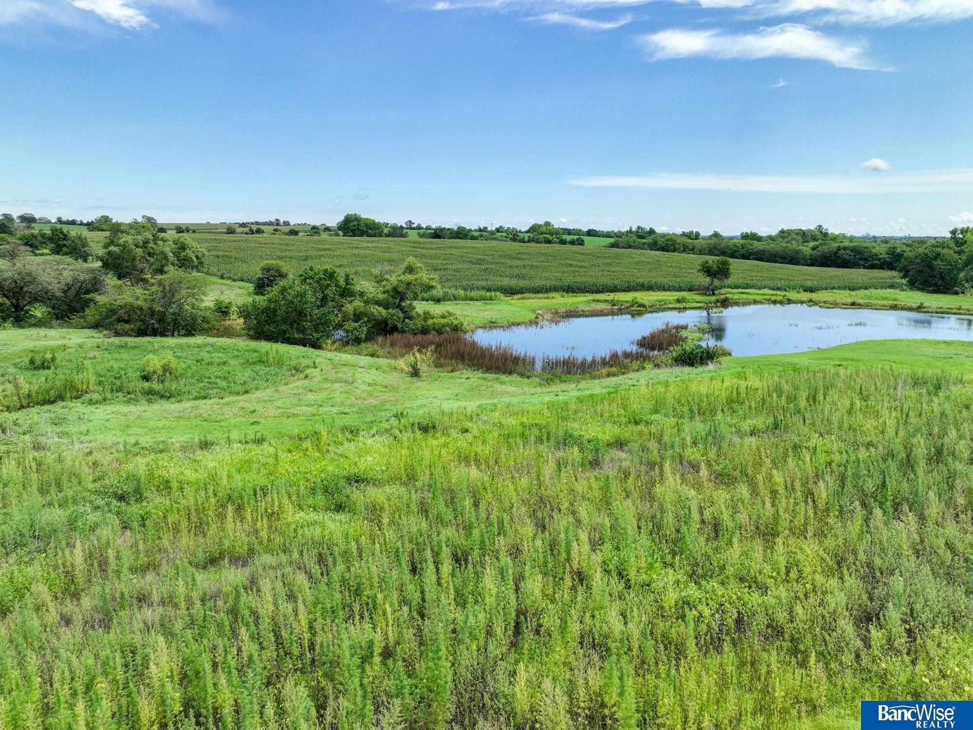 Martell, Lancaster County, NE Undeveloped Land, Homesites for sale