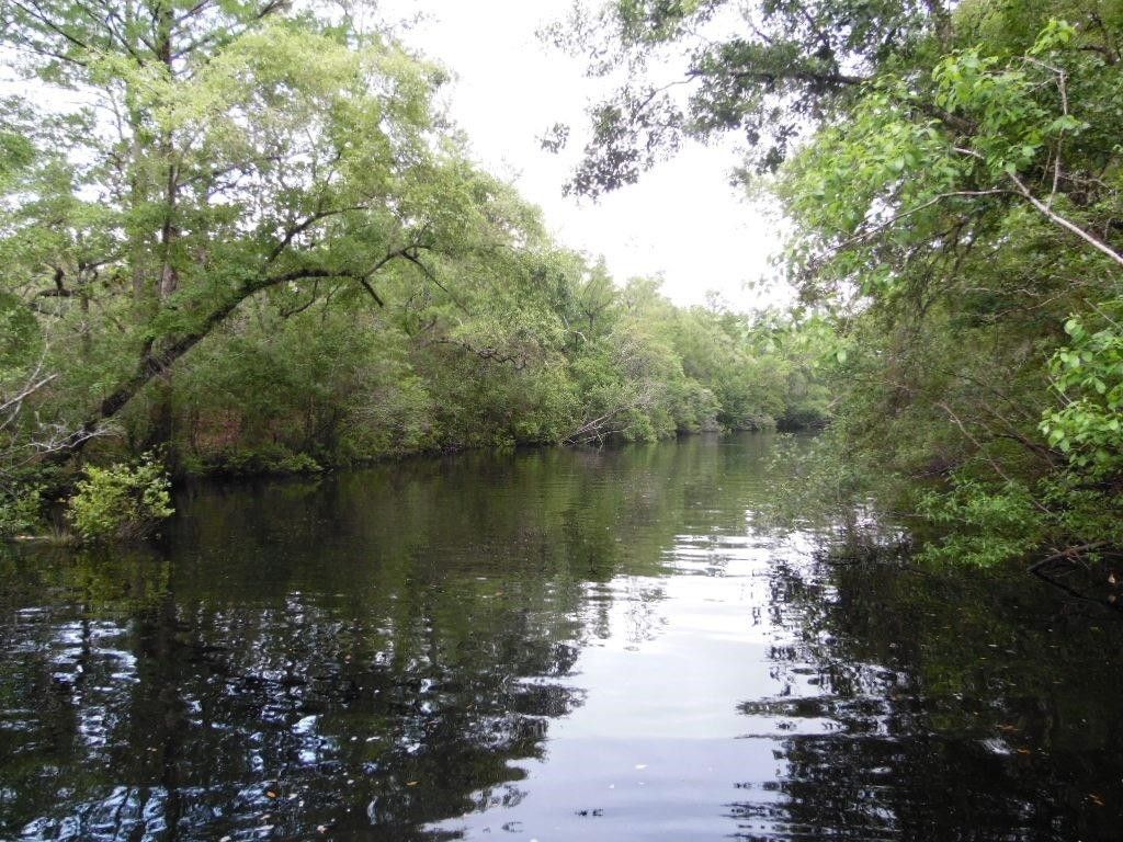 Sopchoppy, Wakulla County, FL Undeveloped Land, Lakefront Property