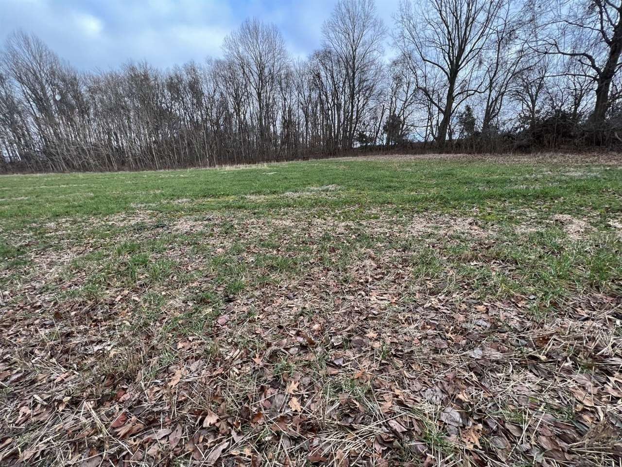Scottsville, Allen County, KY Undeveloped Land, Homesites for sale