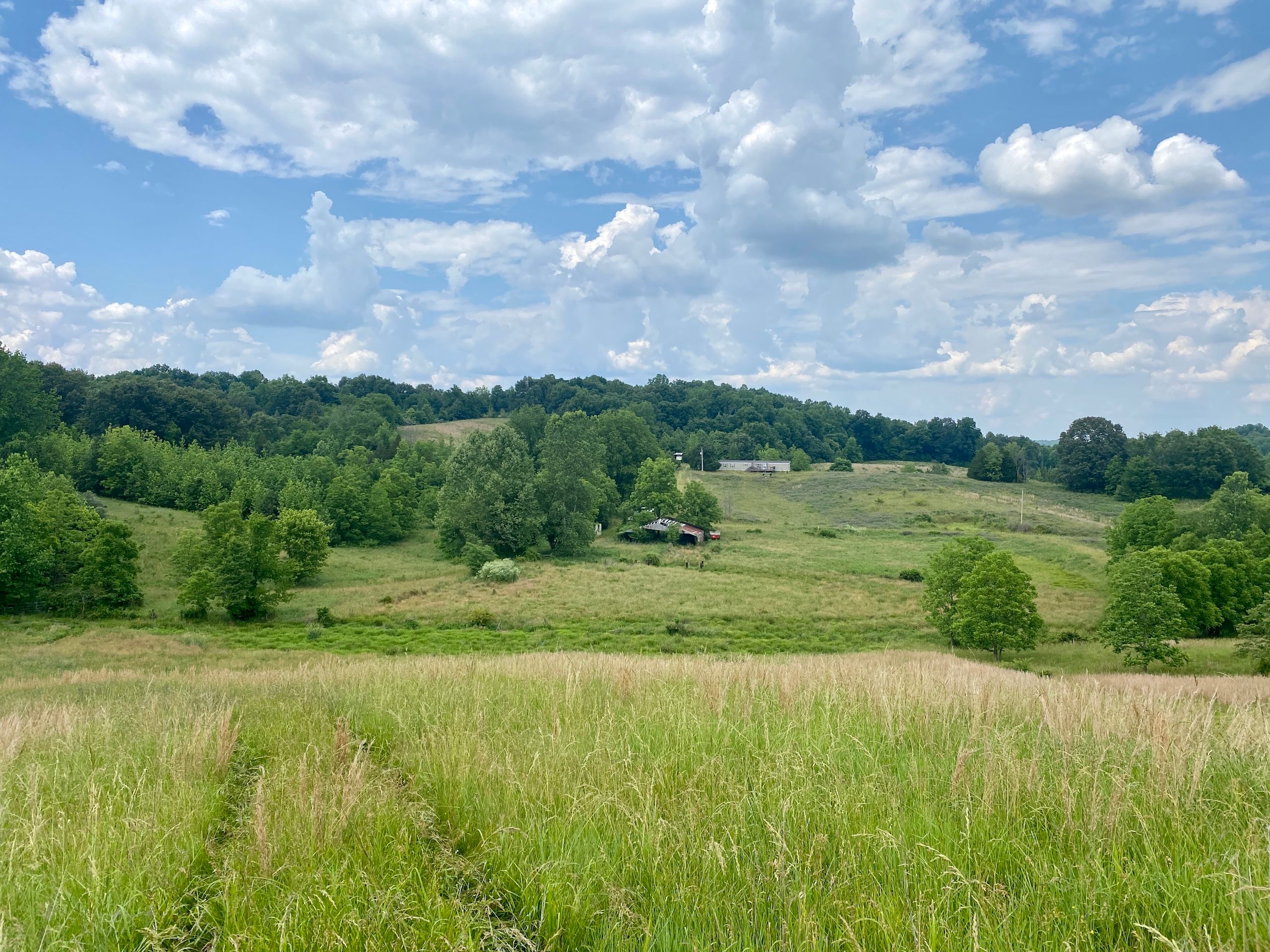 Tamms, Alexander County, IL Timberland Property, Hunting Property for