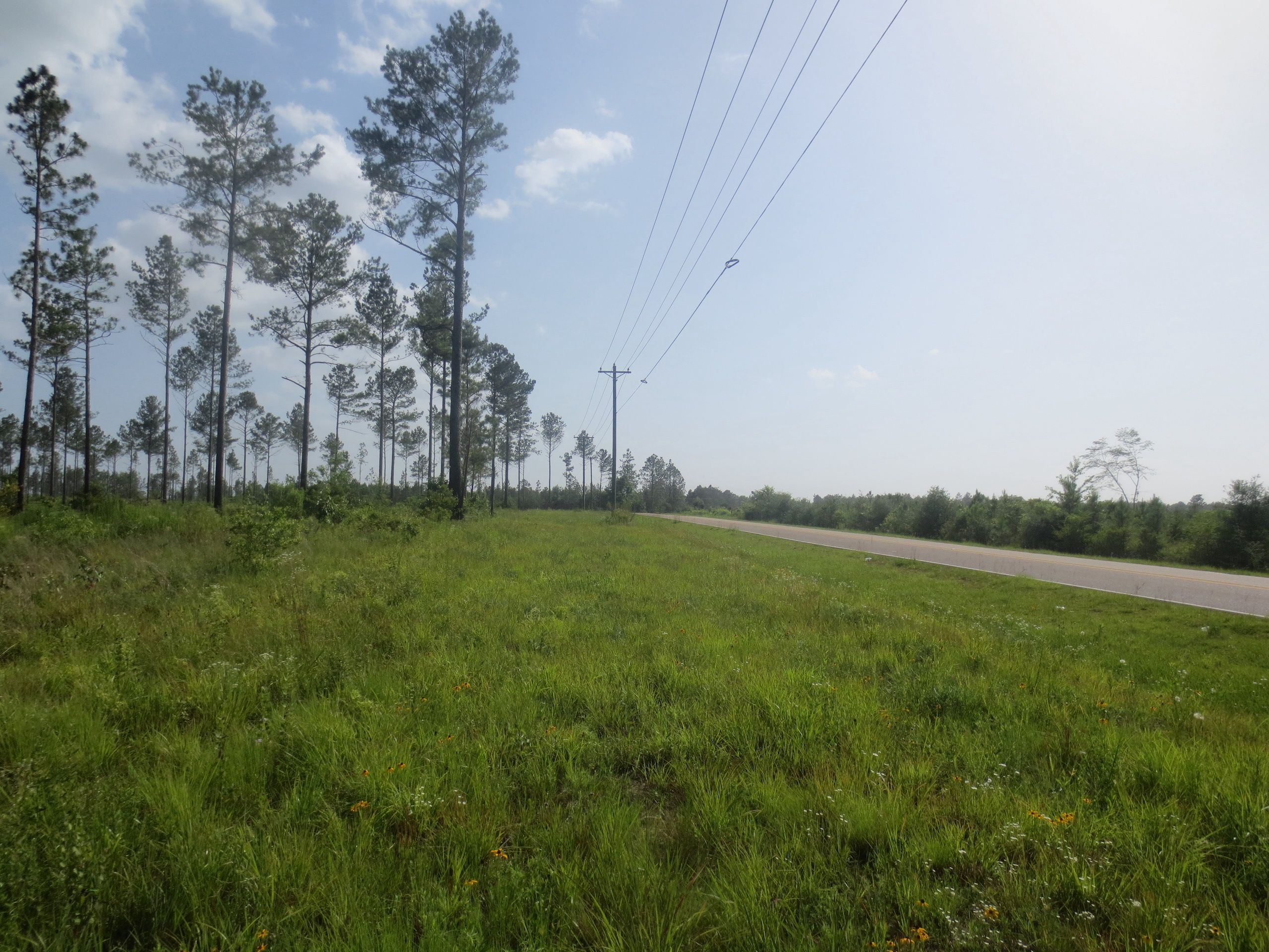 Purvis Baxterville Road, LotWP005, Lumberton, MS 39455 LandWatch